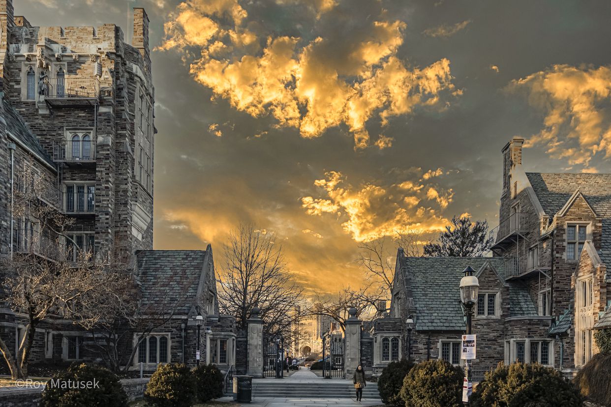 Princeton University Grounds