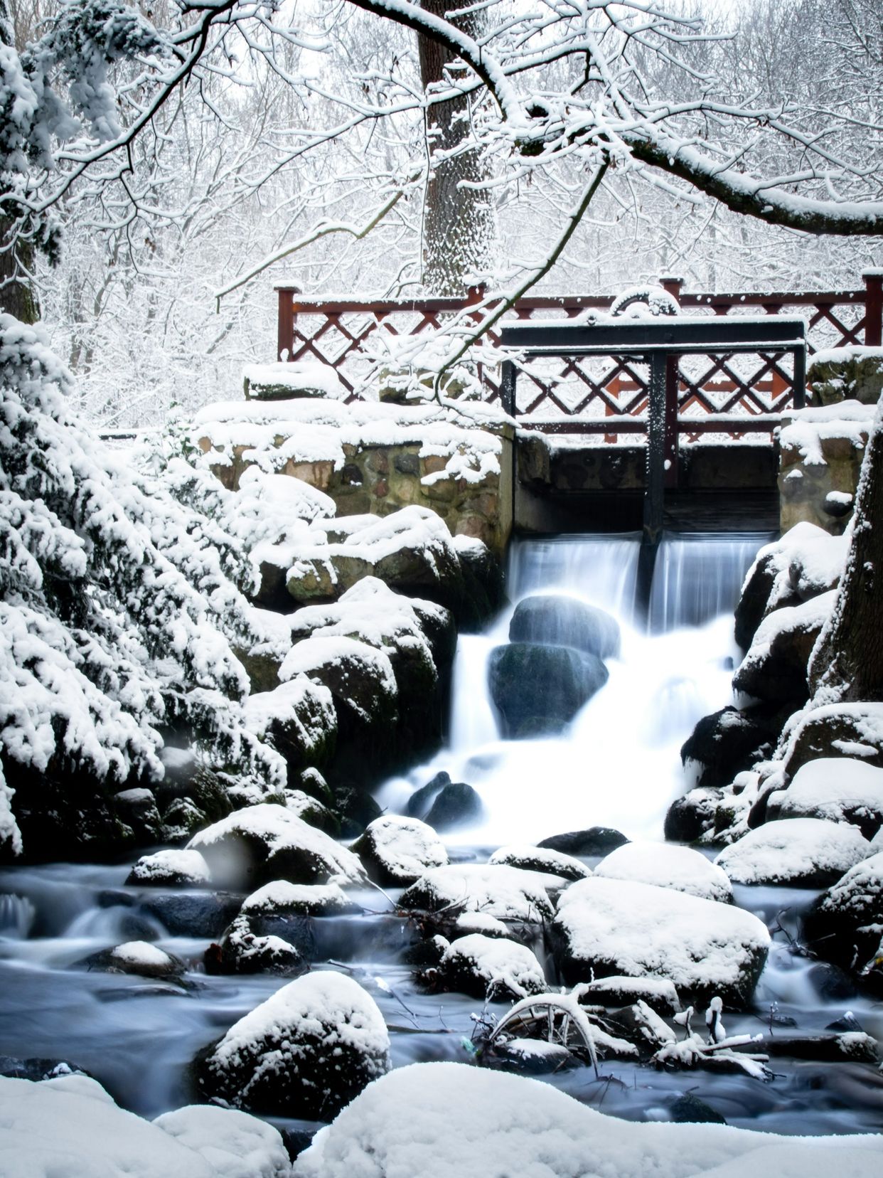 Oliwa Park (Park Oliwski)