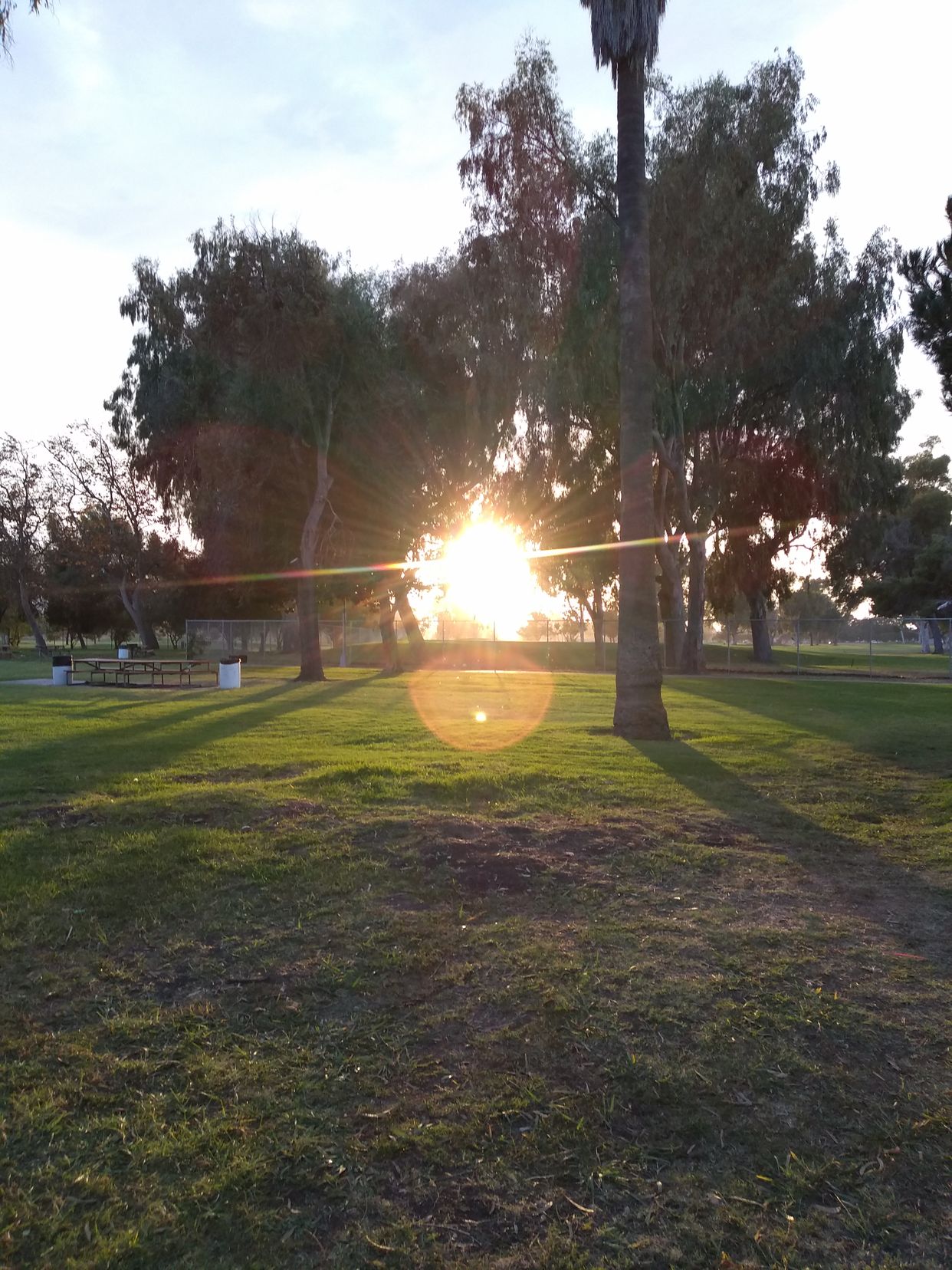 Alondra Park