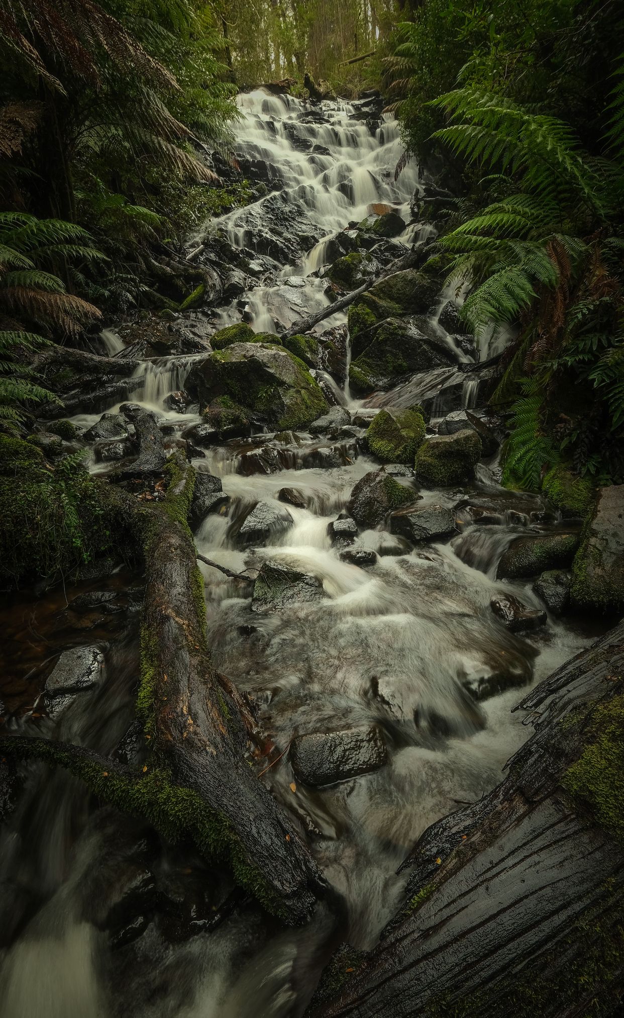 Cora Lynn Falls