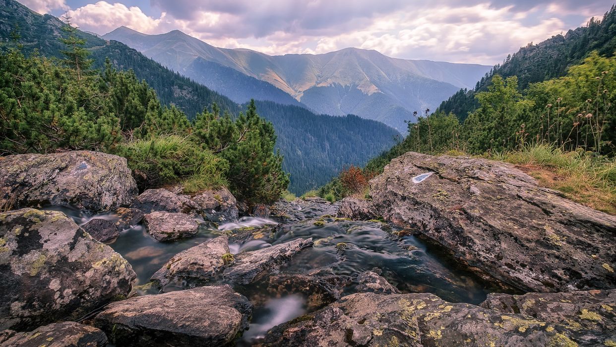 Caltun River View
