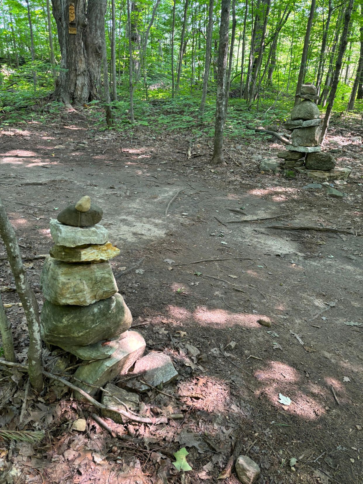  South March Highlands Conservation Forest