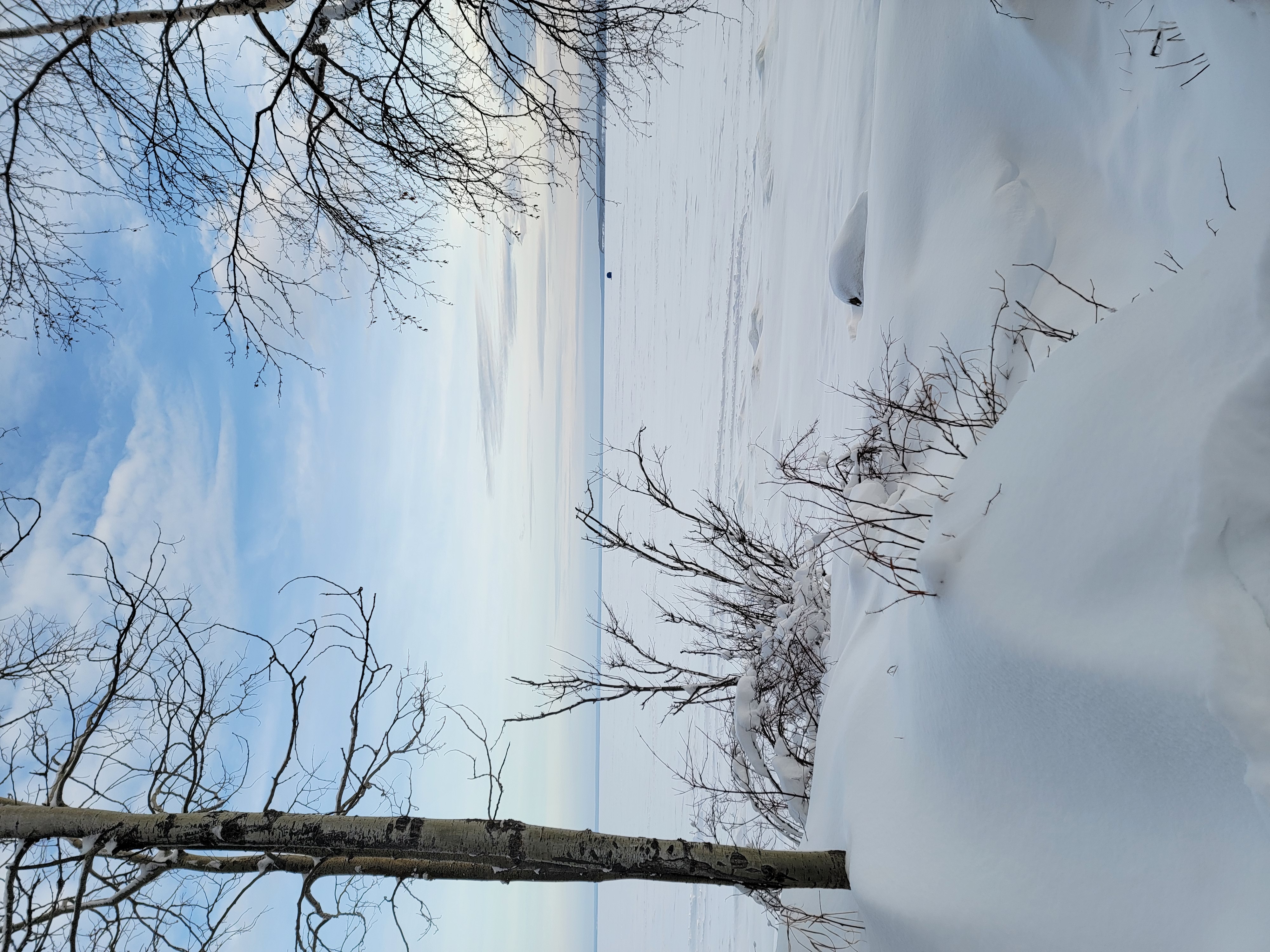 Cold Lake Provincial Park — Photo by Lebears