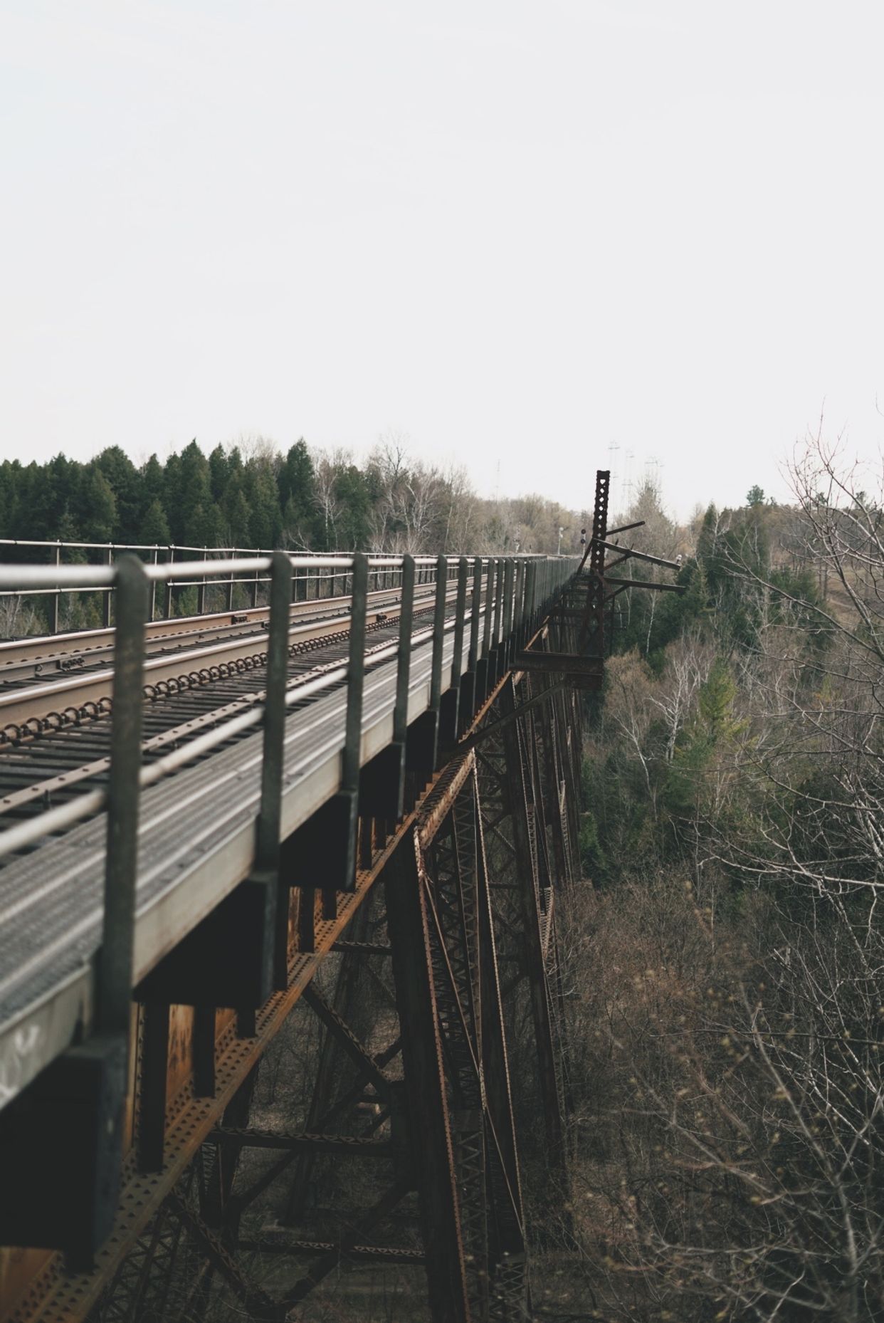 Whitevale Park Rail Bridge