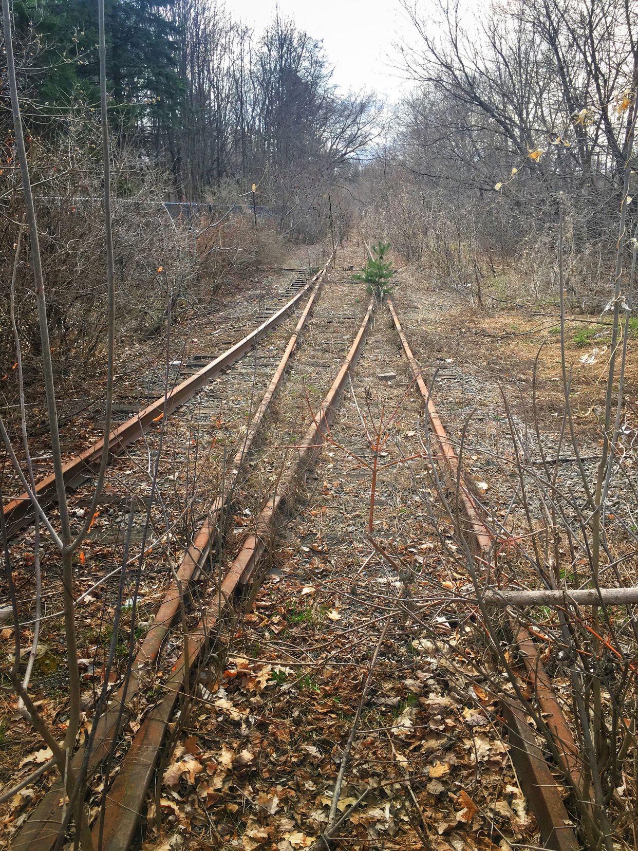 Rails to Nowhere
