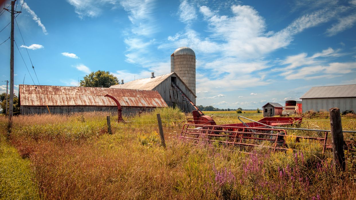 Photogenic Farm