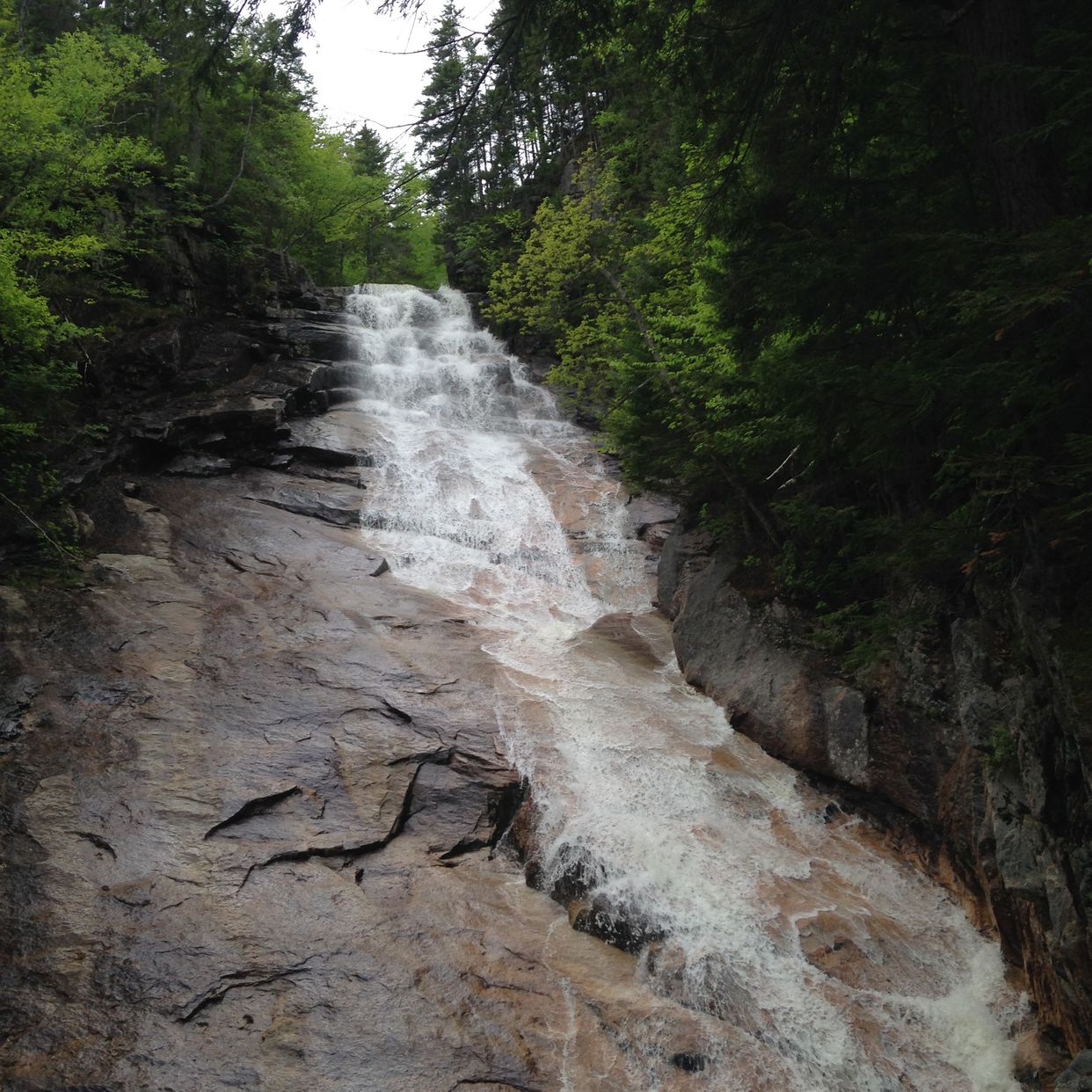 Ripley Falls 