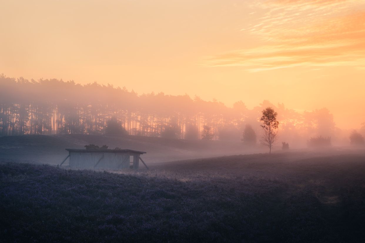 Parque Nacional De Las Landas De Luneburgo