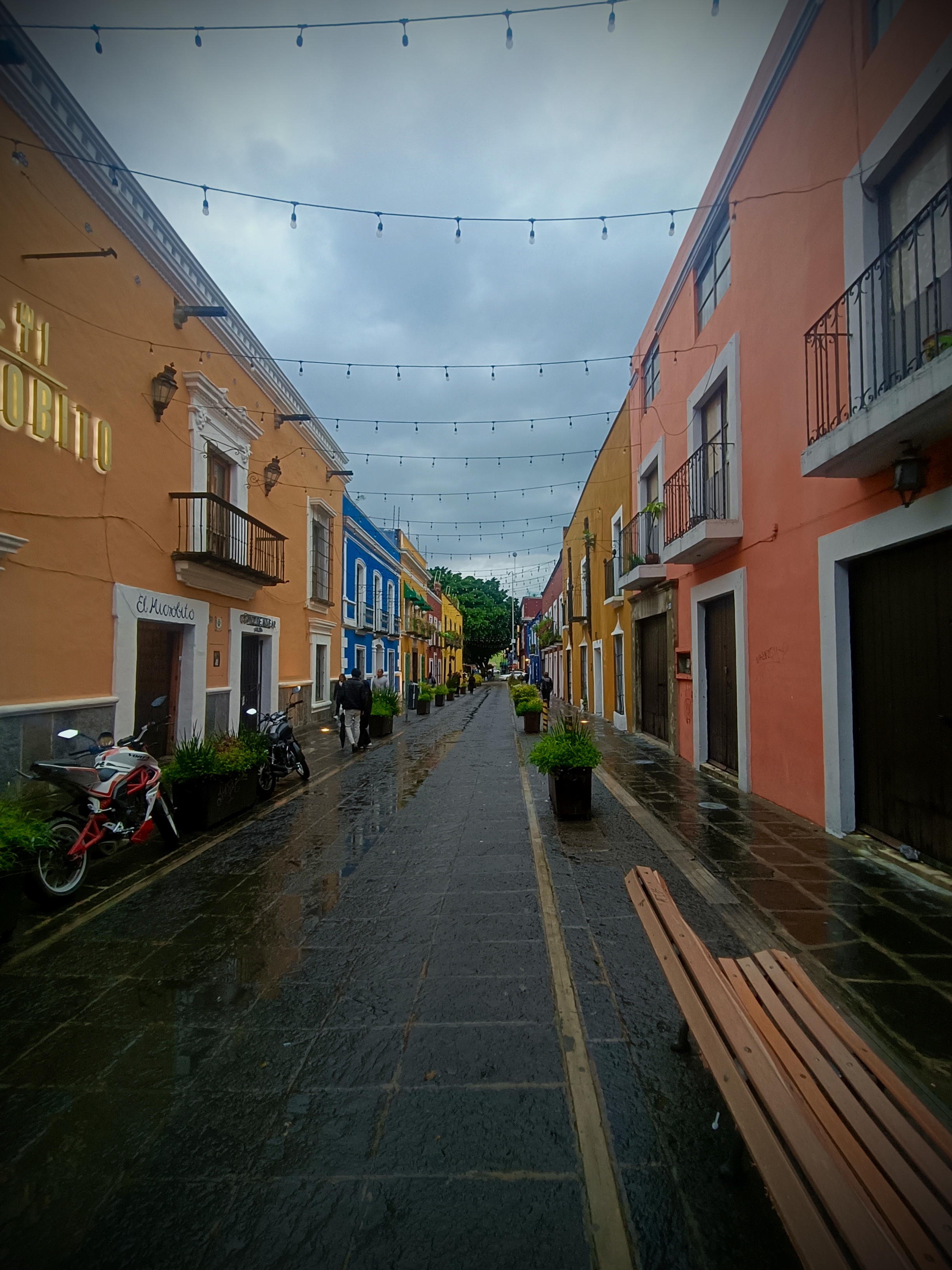  Callejón de los Sapos (Alley of the Frogs) — Photo by @andres_perez_rios