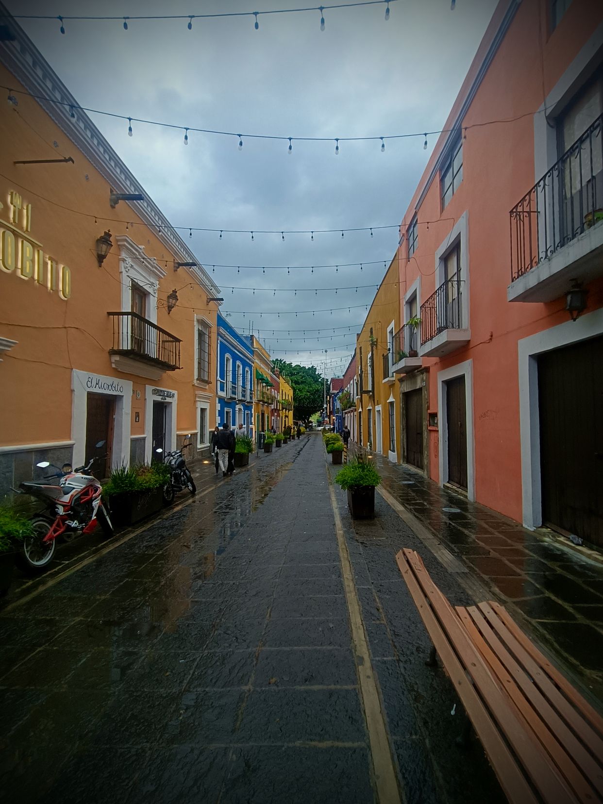 Callejón de los Sapos (Alley of the Frogs) - Photo by @andres_perez_rios