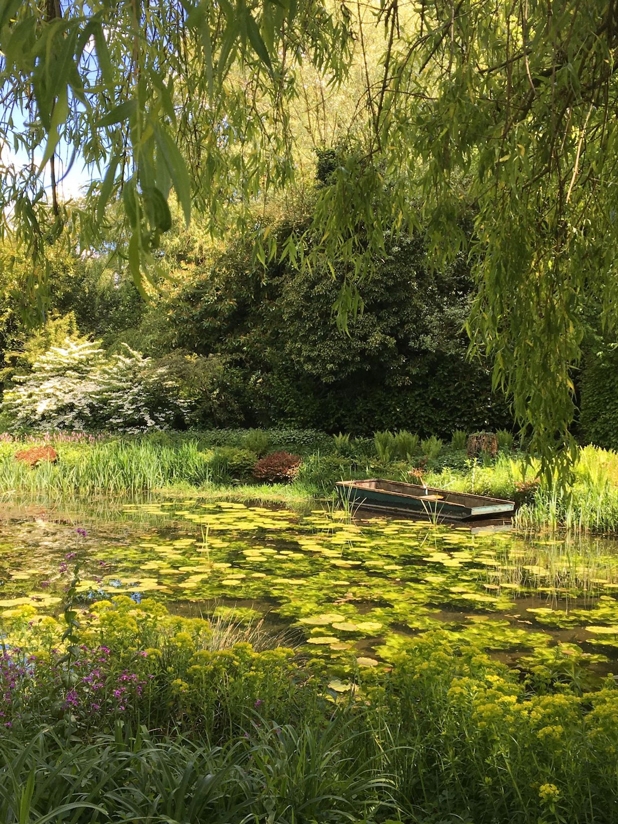 Gooderstone Water Gardens & Nature Trail