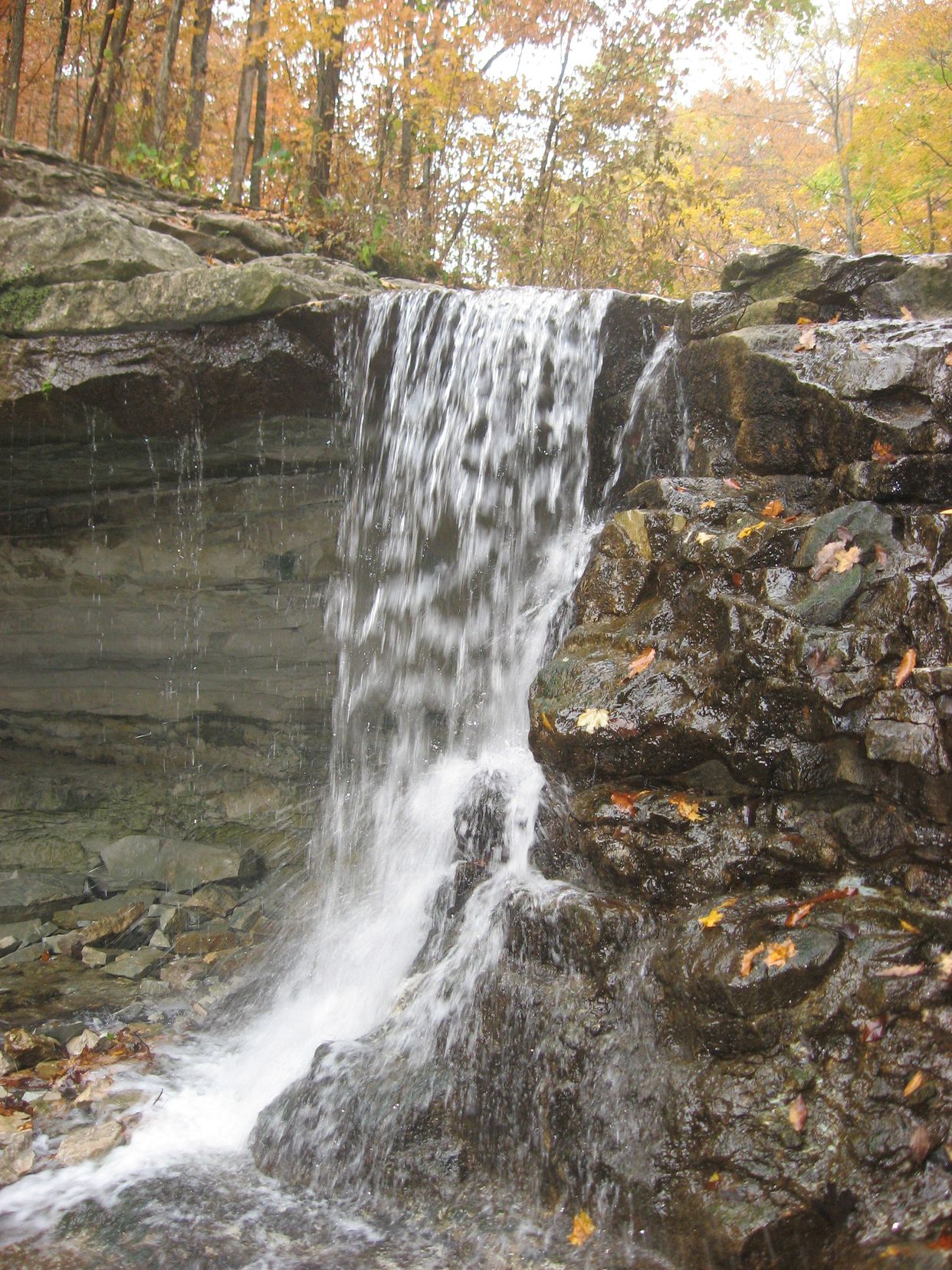 McCormick's Creek Falls