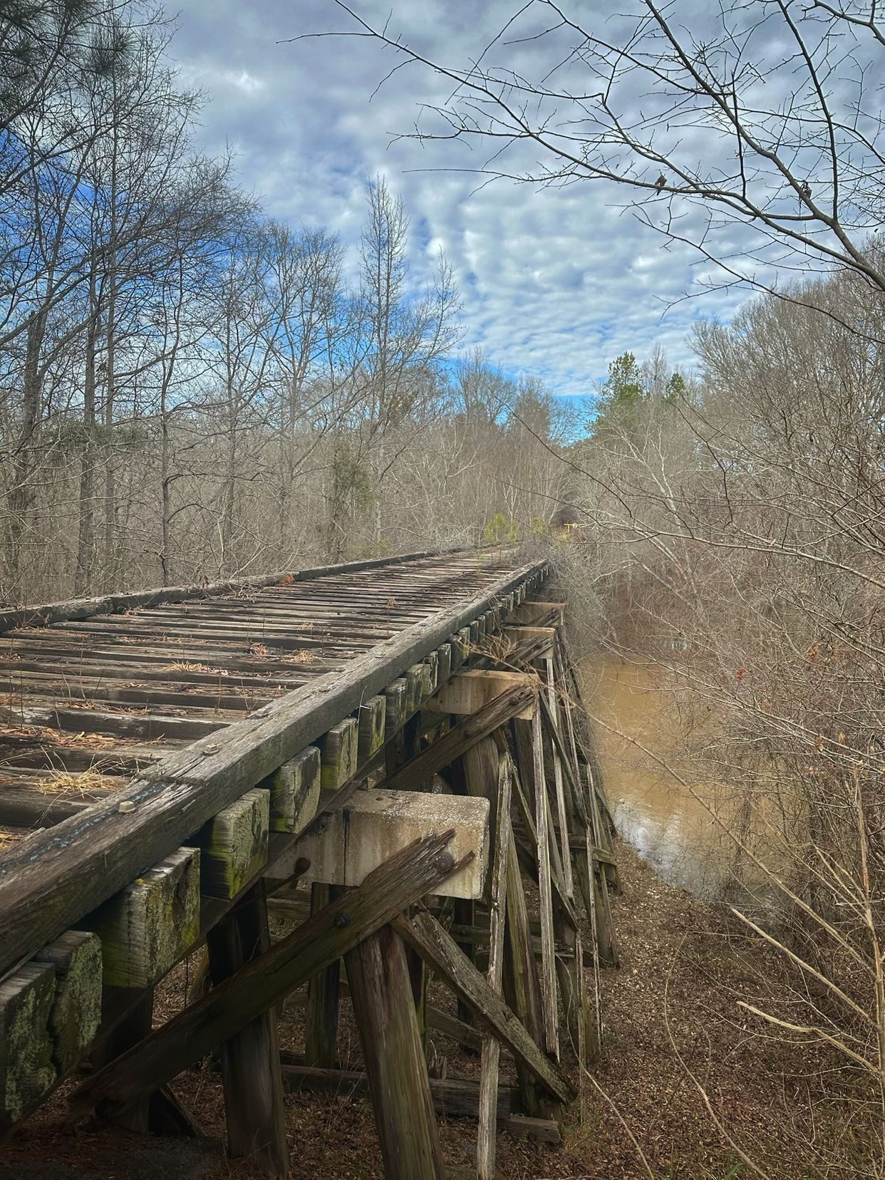Alcovy River Trestle (Cricket Frog Trail)