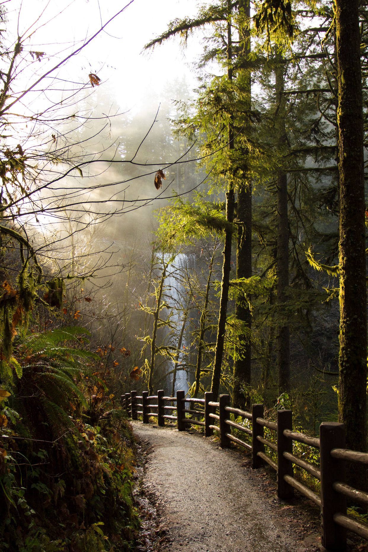 Hiking Trail to South Falls