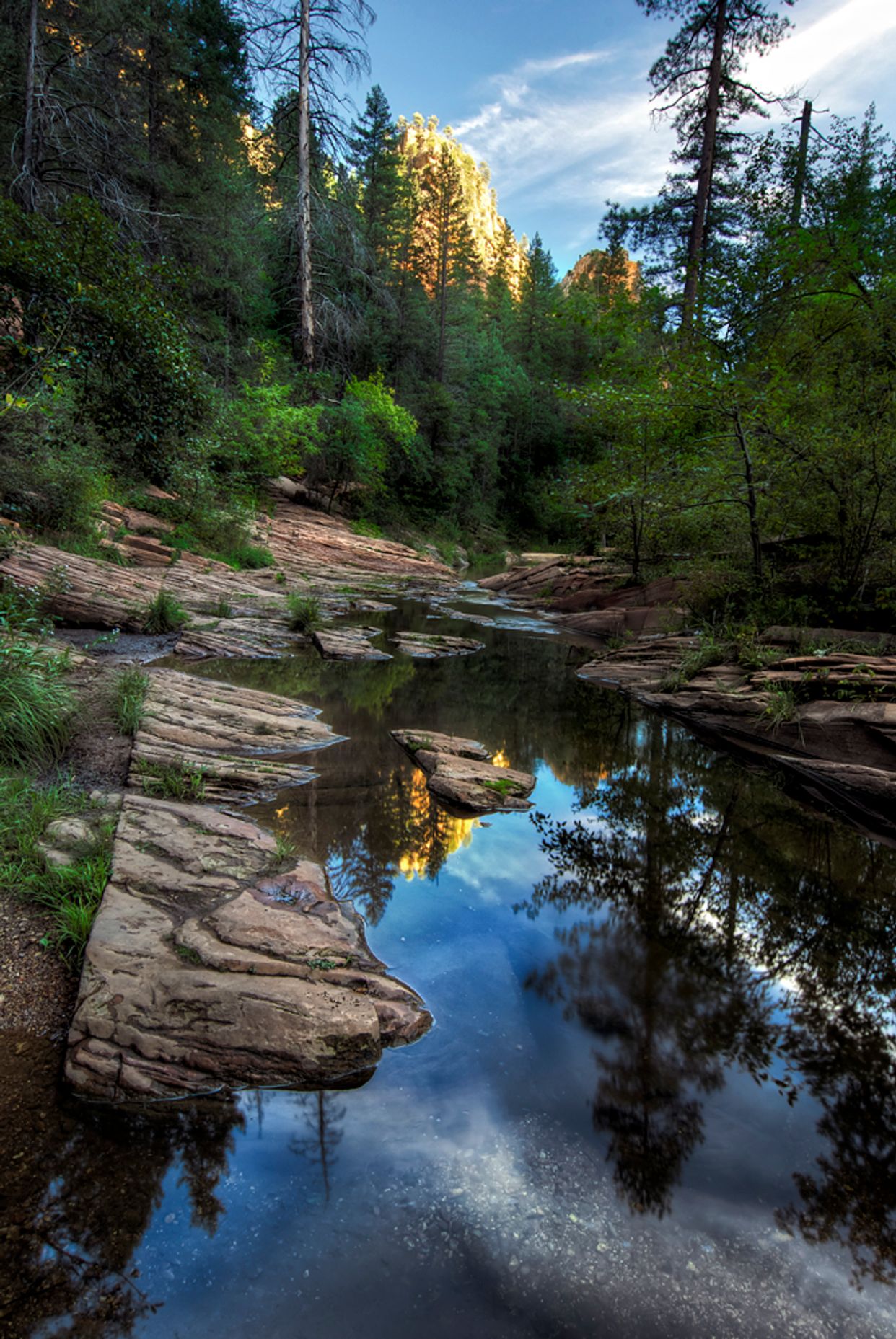 West Fork Oak Creek