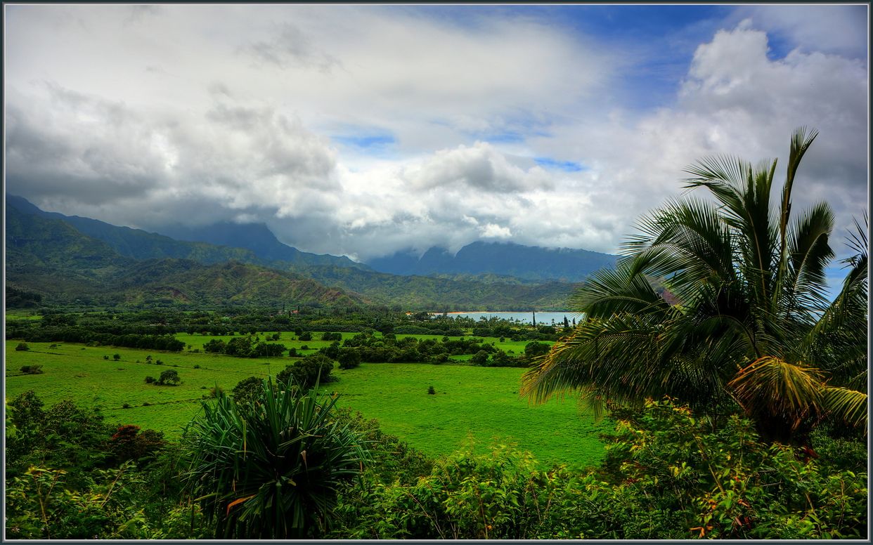Hanalei Bay Lookout