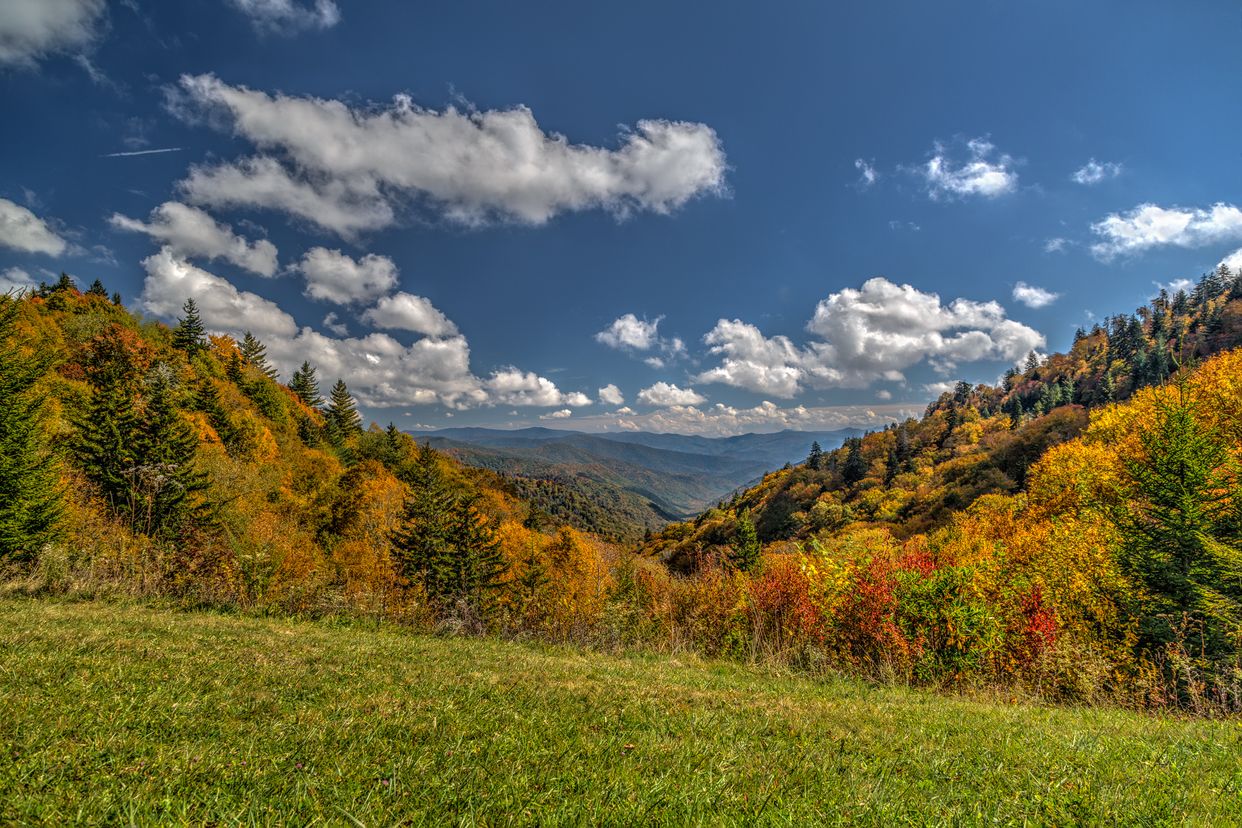 Luftee Overlook