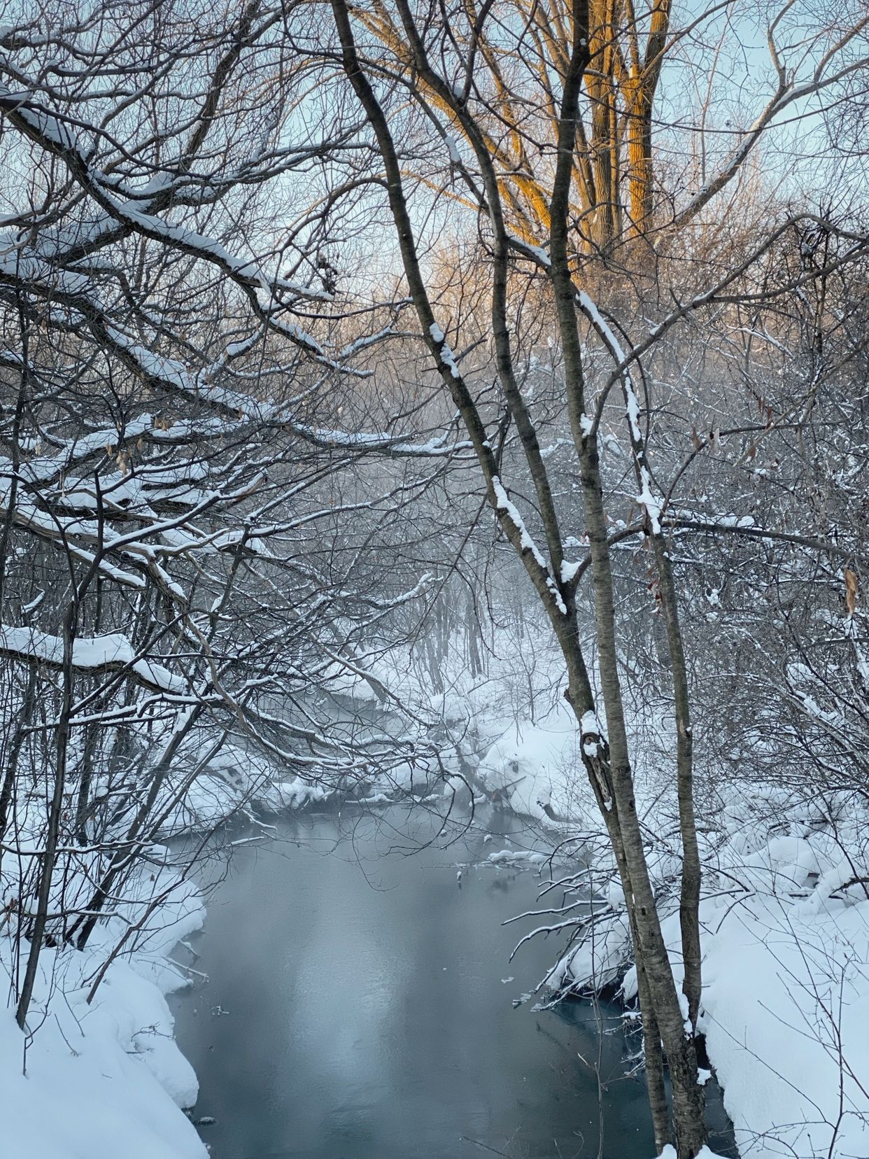 Bois-de-Liesse Nature Park