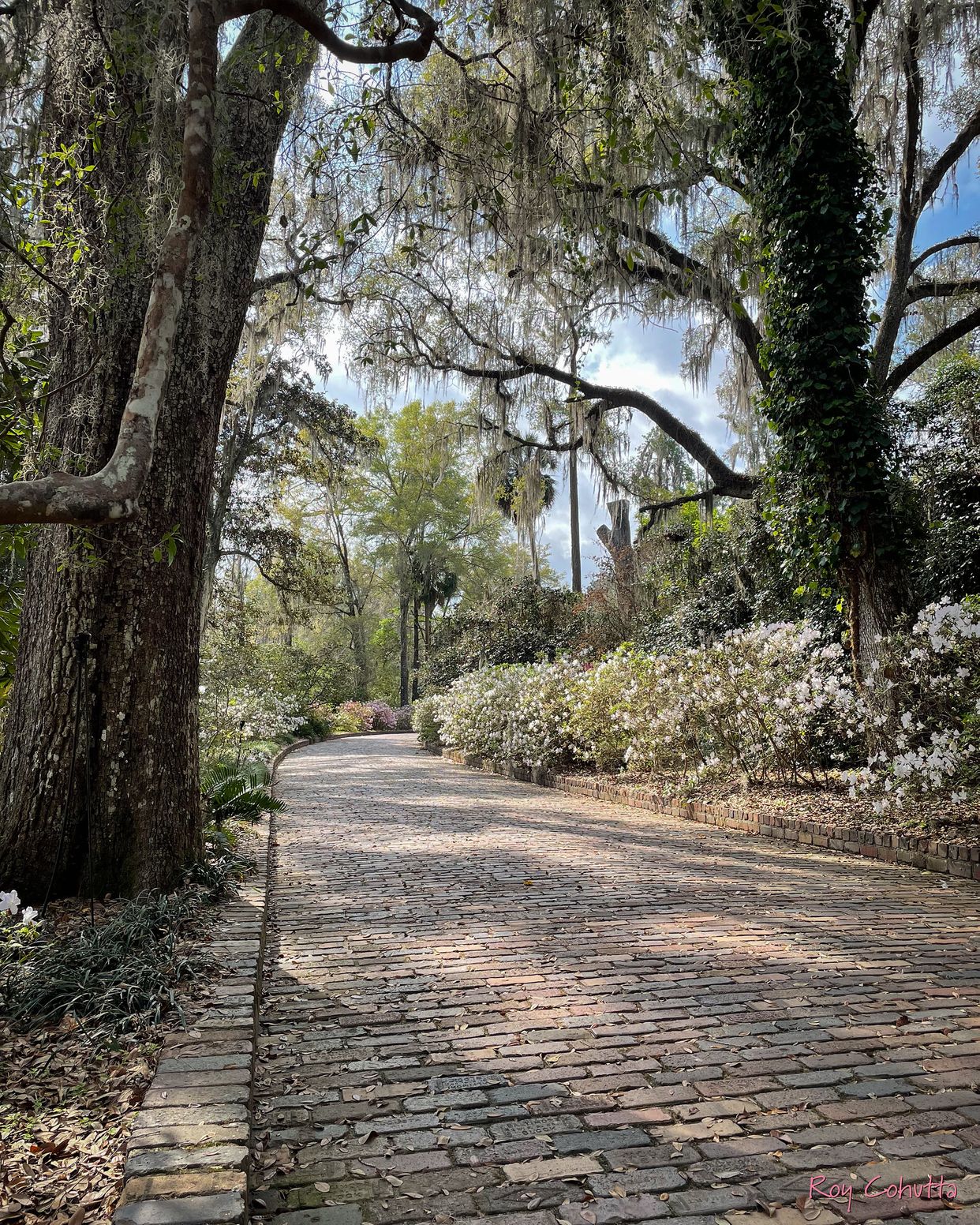 Alfred B. Maclay Gardens State Park