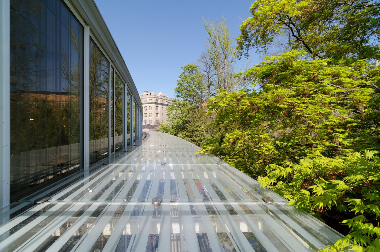 Deck above Visitor Center