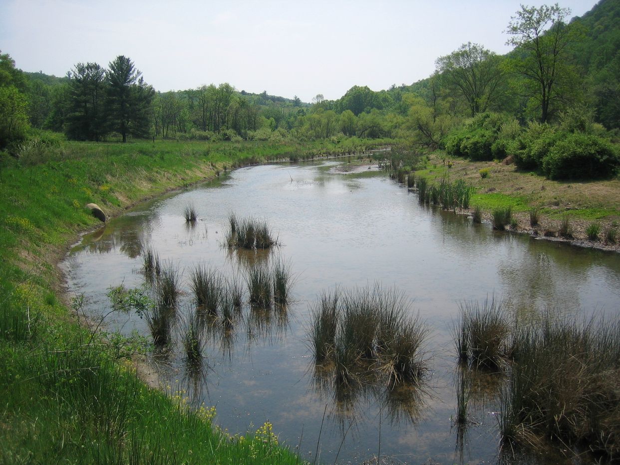  Edwards Run