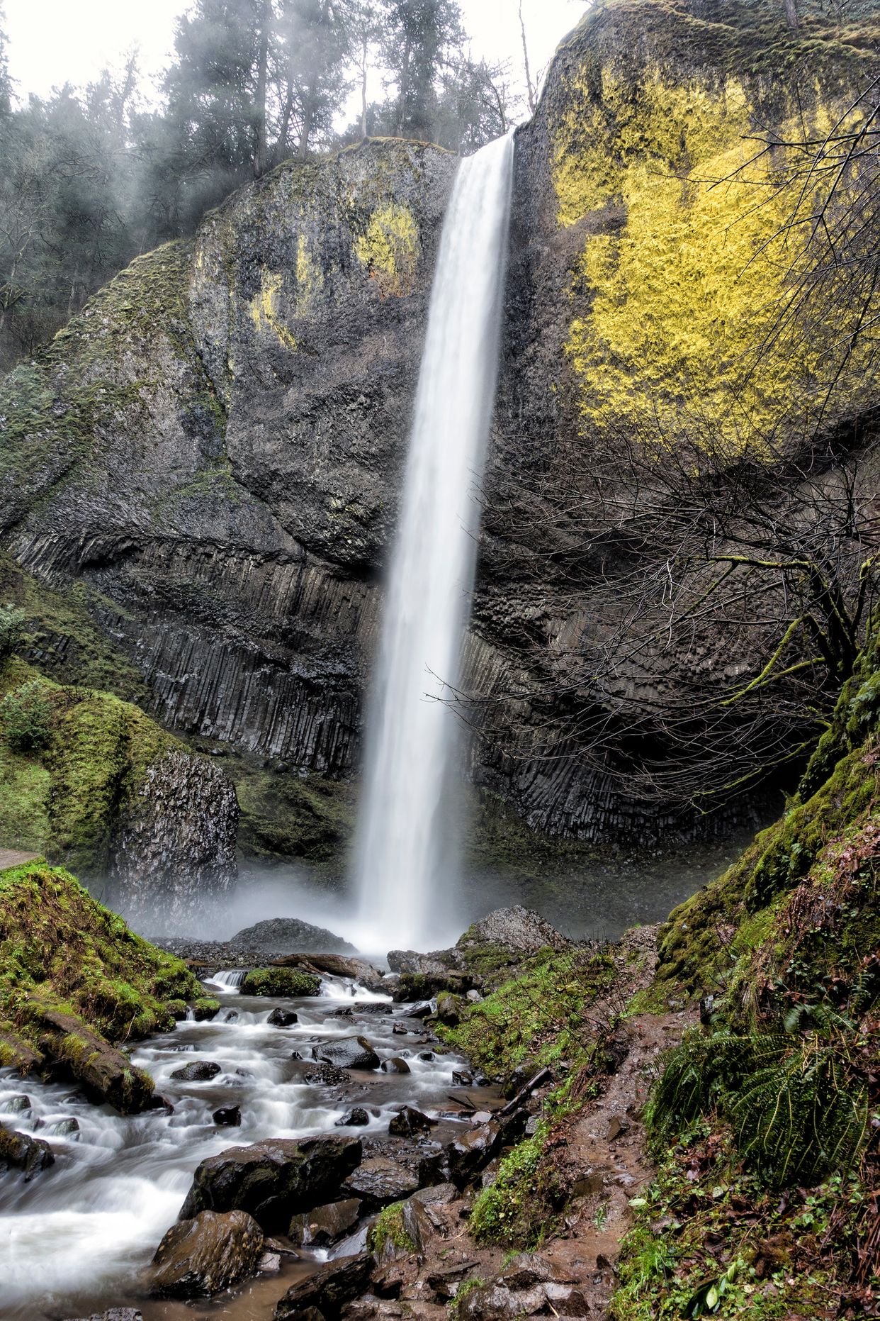 Lower Latourell Falls