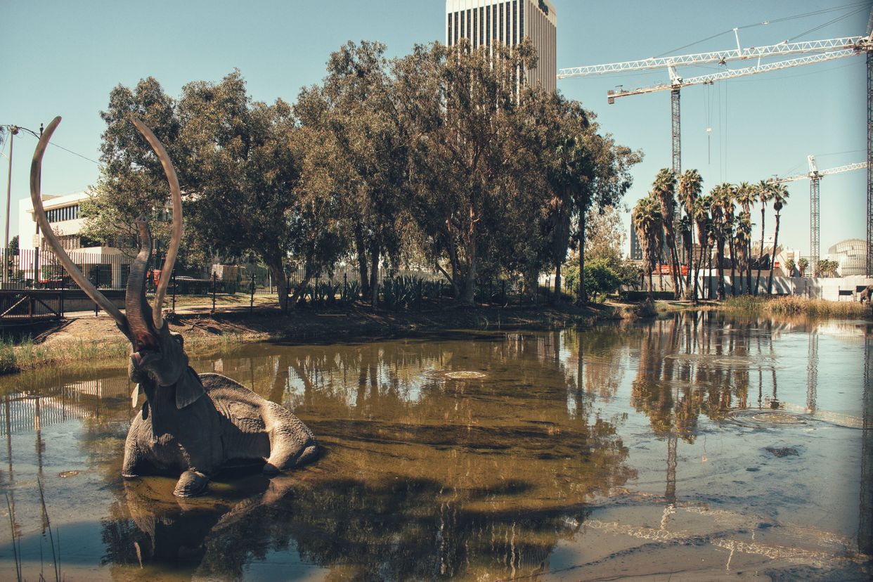 La Brea Tar Pits