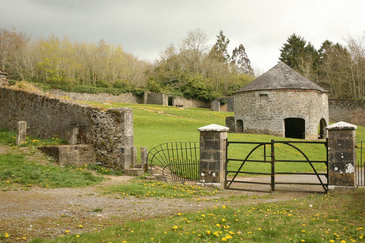 Jenkinstown Wood And Walled Garden Walk