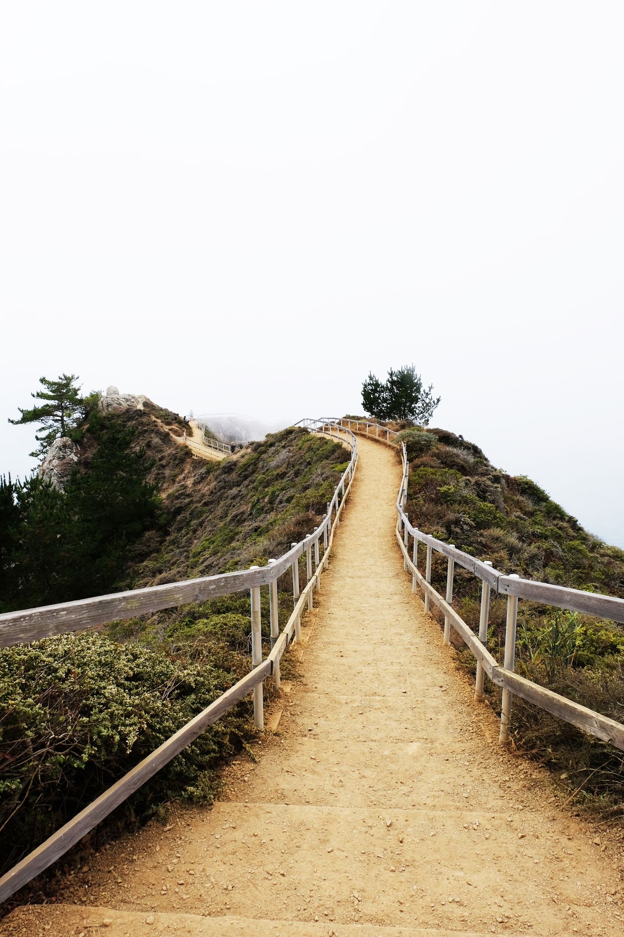 Muir Beach Overlook