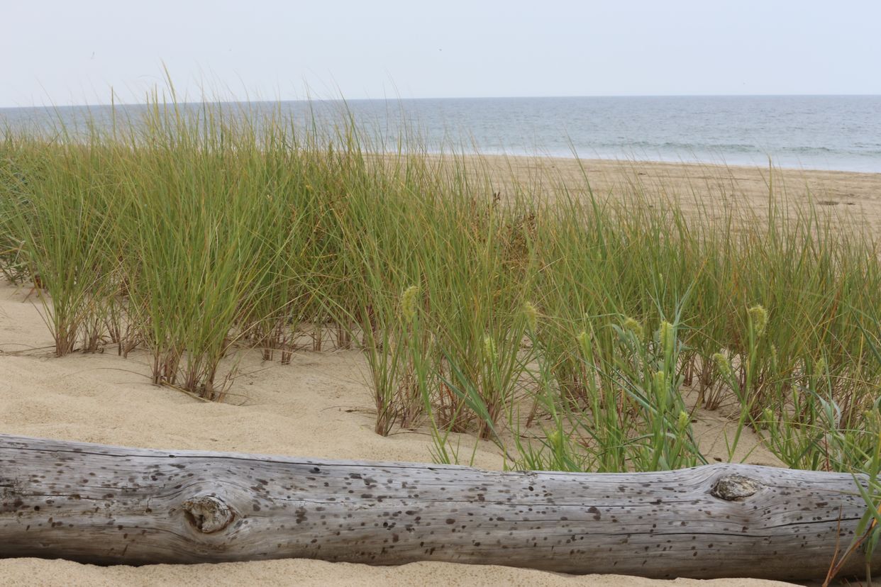 Back Bay Beach
