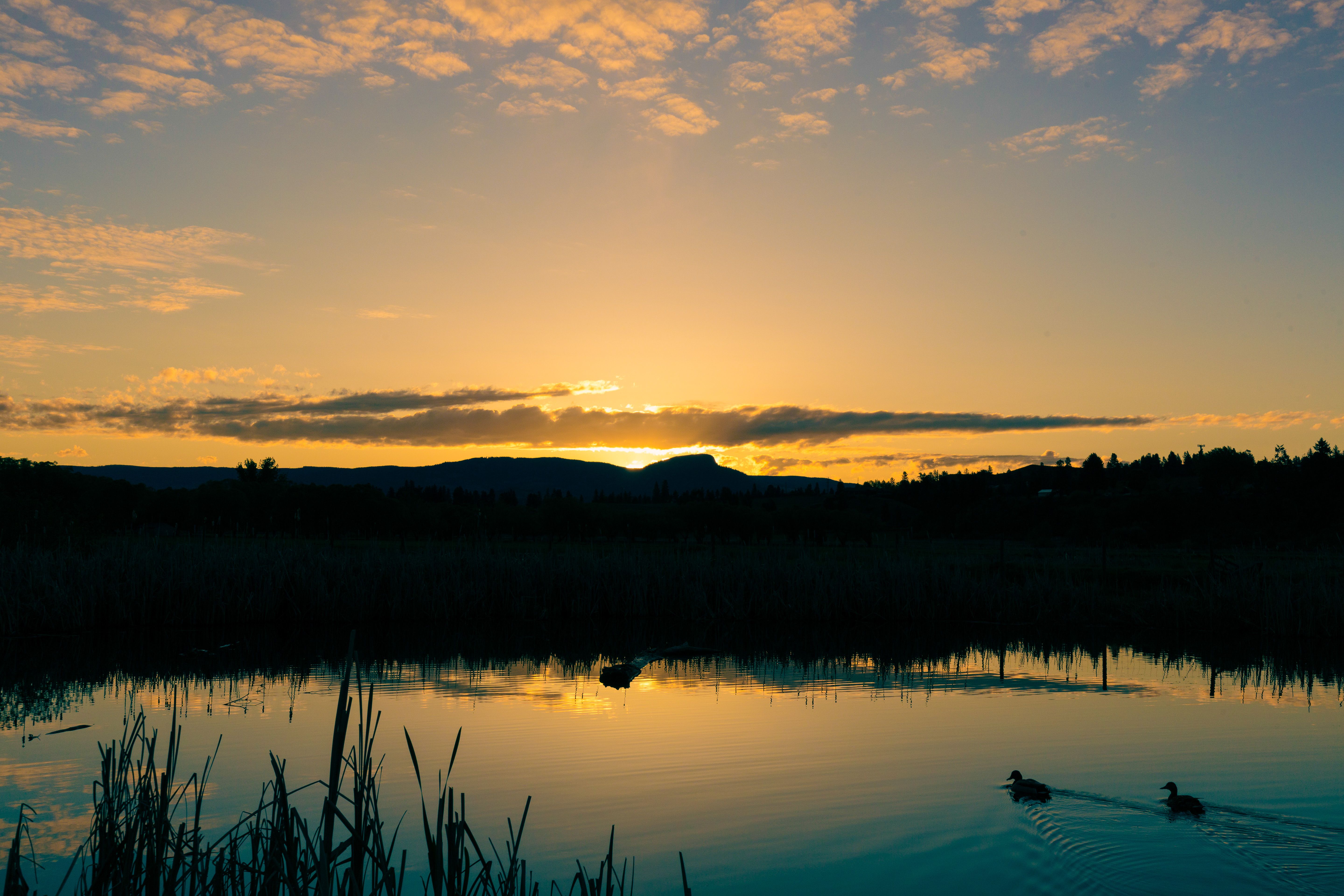 Thomson Marsh Park — Photo by scott goldsworthy