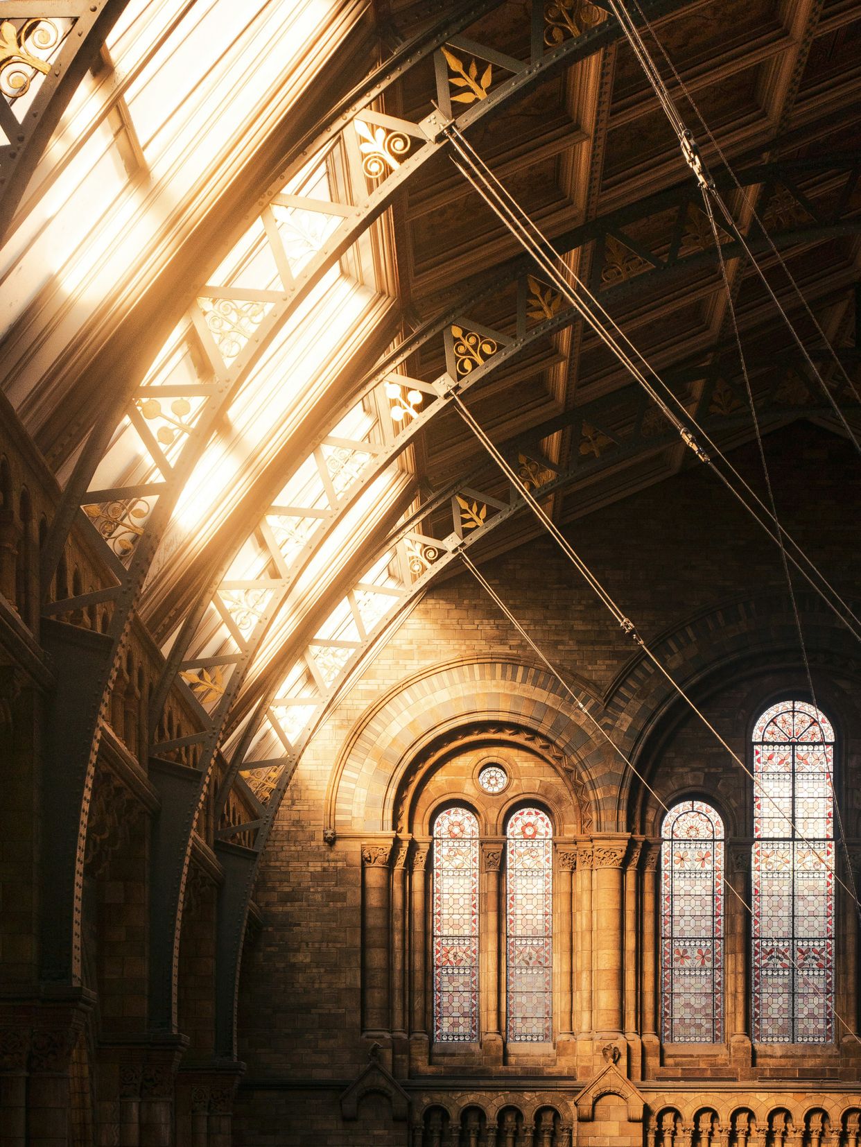 Natural History Museum, London 