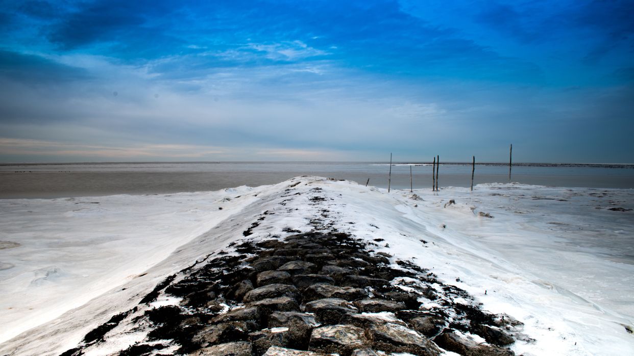 Zurich Shoreline