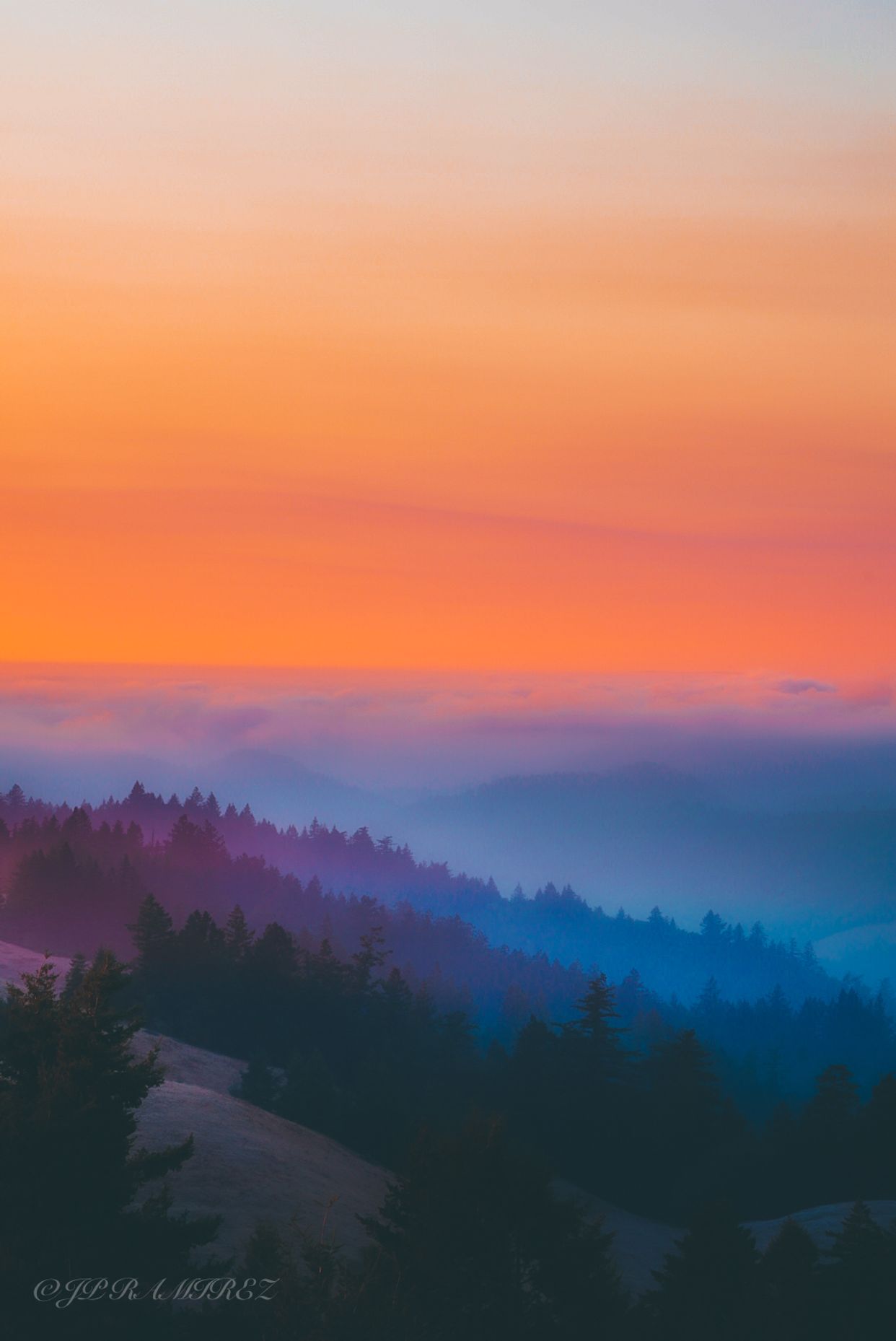 Mount Tamalpais State Park