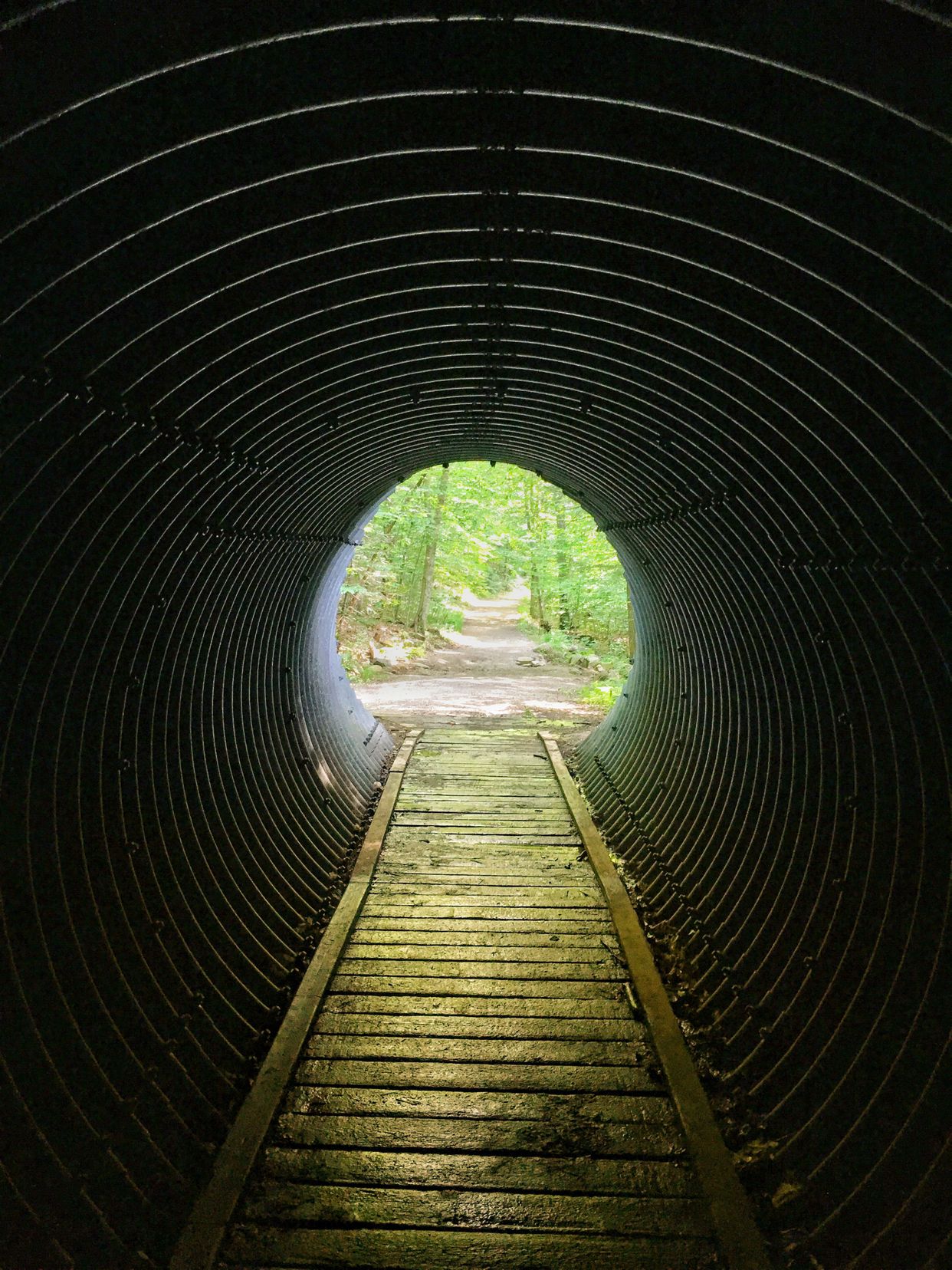 Tunnel under the Blvd du Plateau