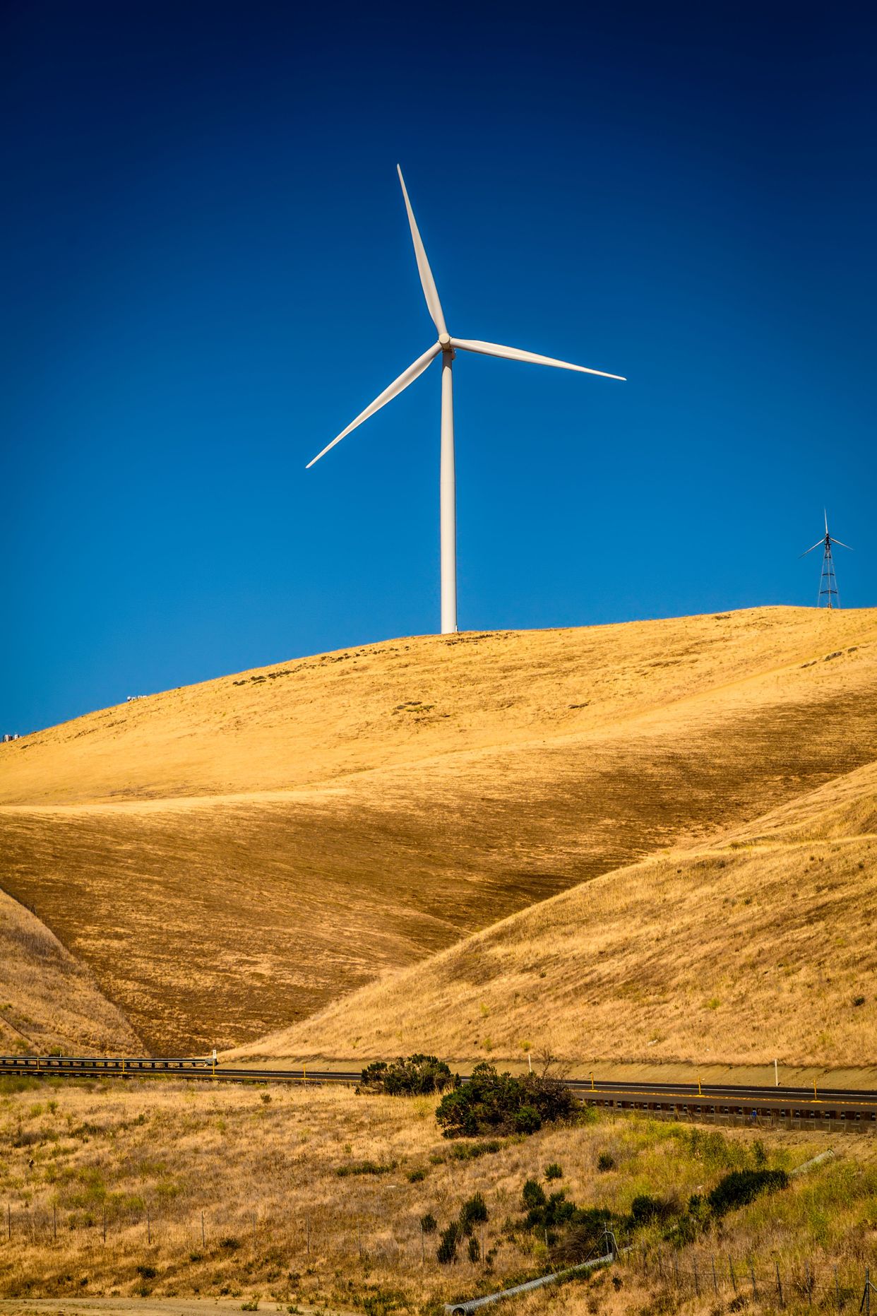 Altamont Pass Wind Turbines