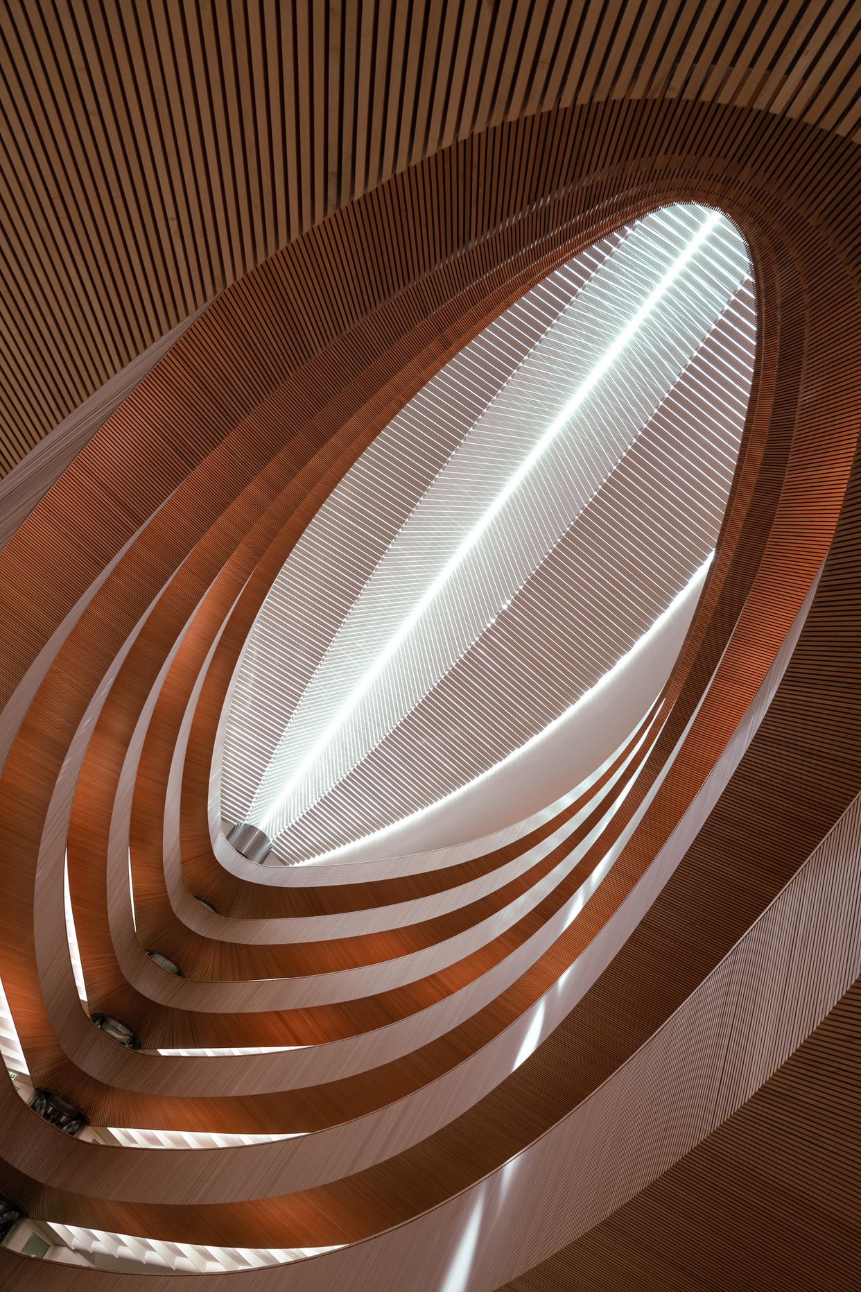 Rechtswissenschaftliche Bibliothek