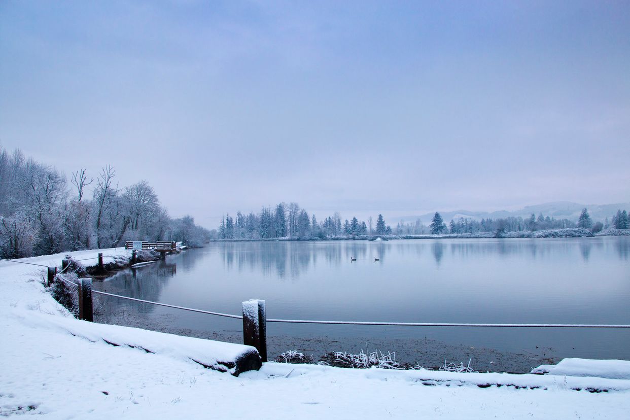 Cheadle Lake