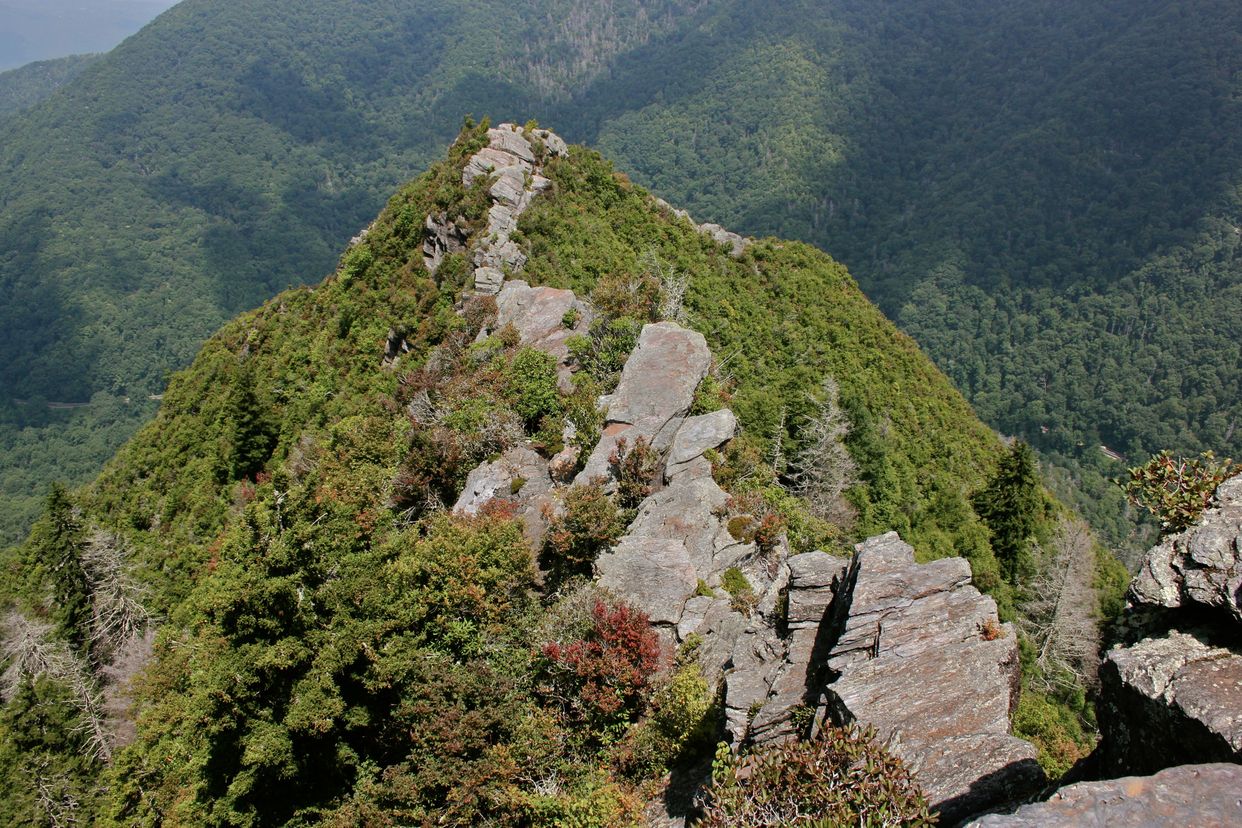 Chimney Tops
