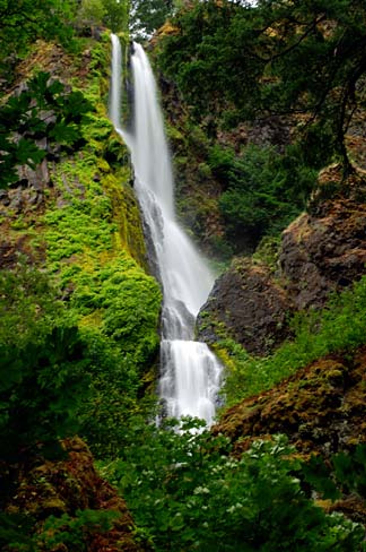 Starvation Creek Falls