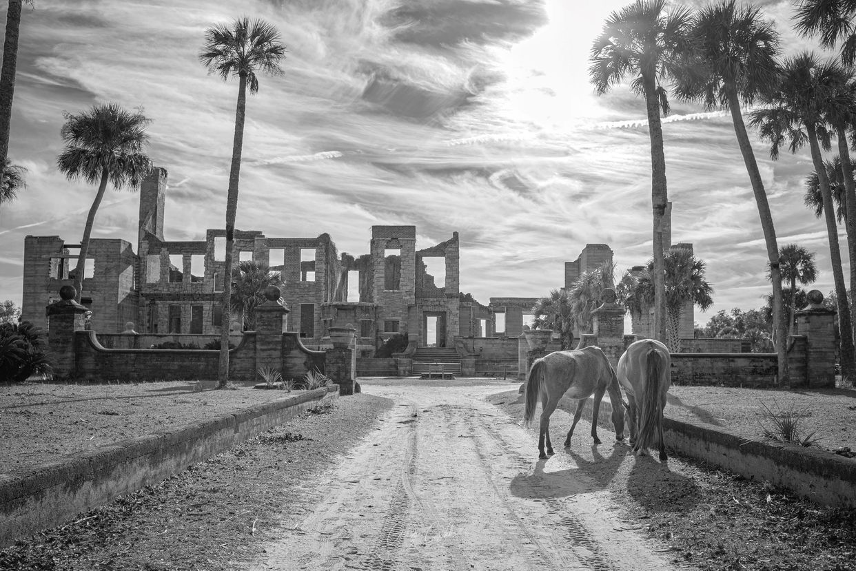 Dungeness Ruins