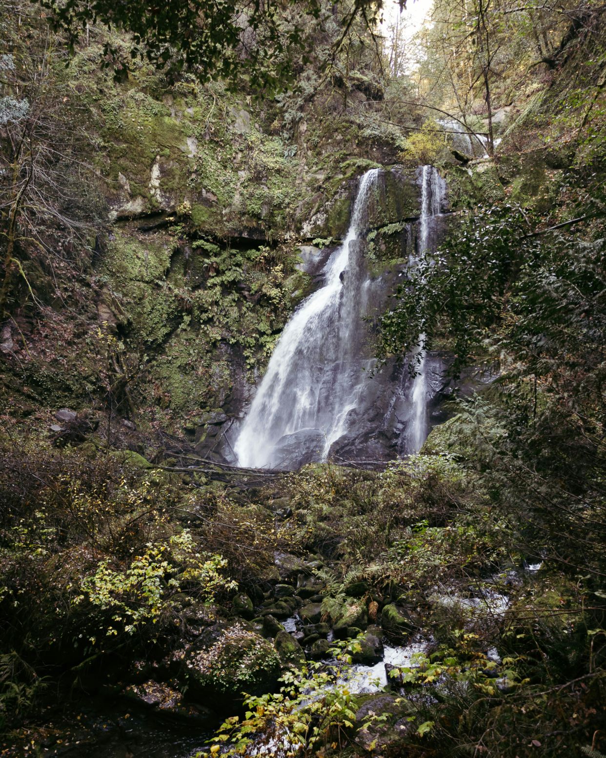 Elk Creek Falls