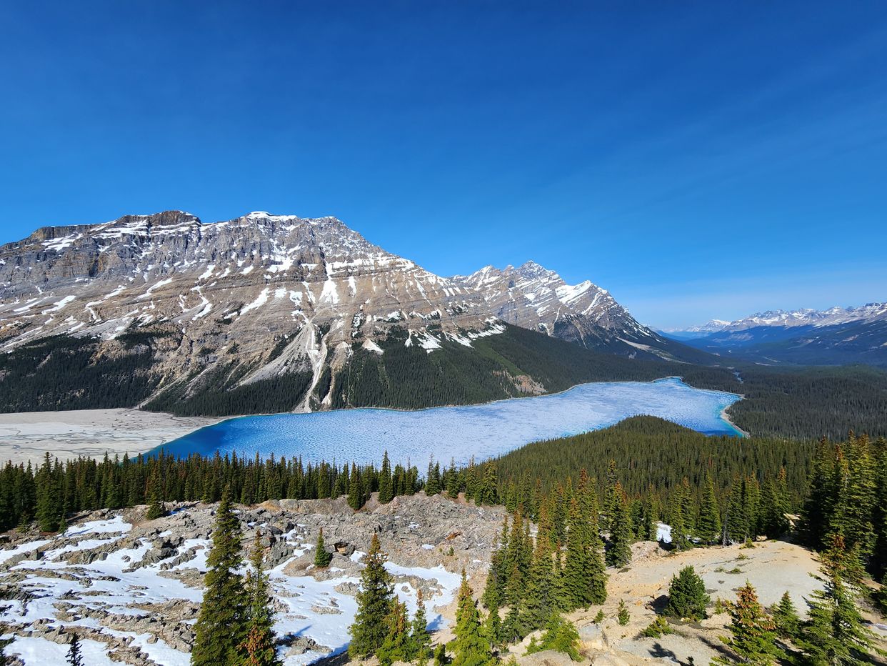 Peyto Lake