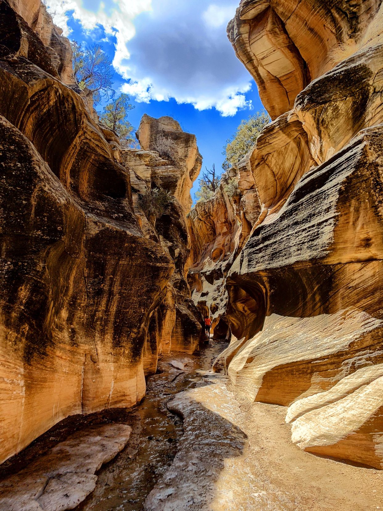 Willis Creek Narrows Trail