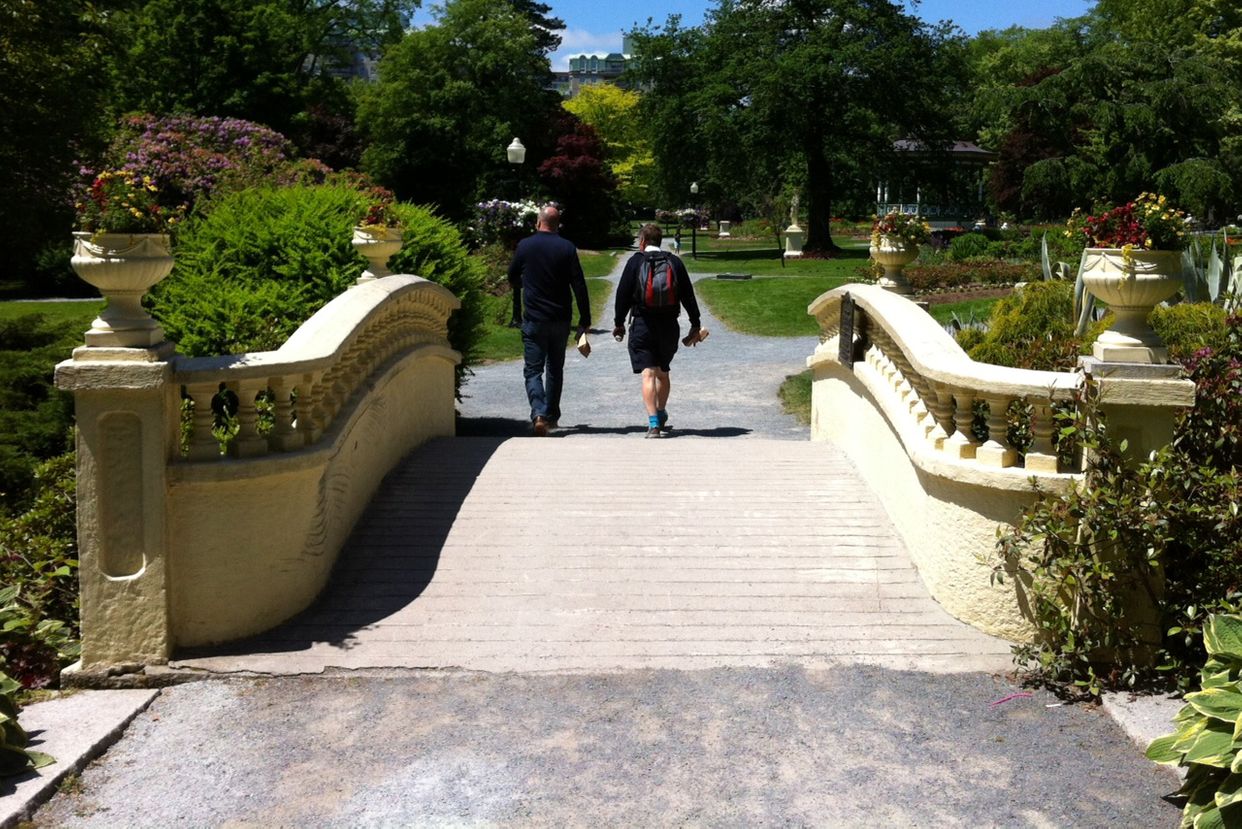 Bridge in Public Gardens