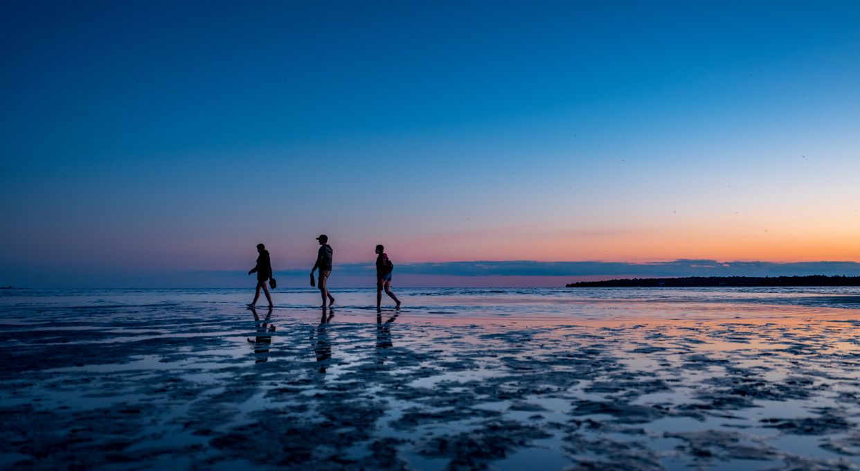 Singing Sands