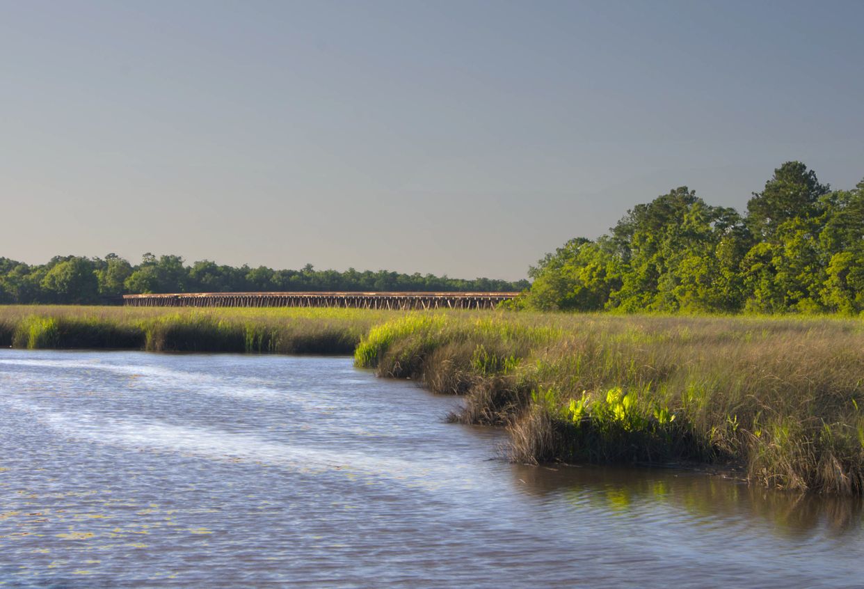 Cooper River 