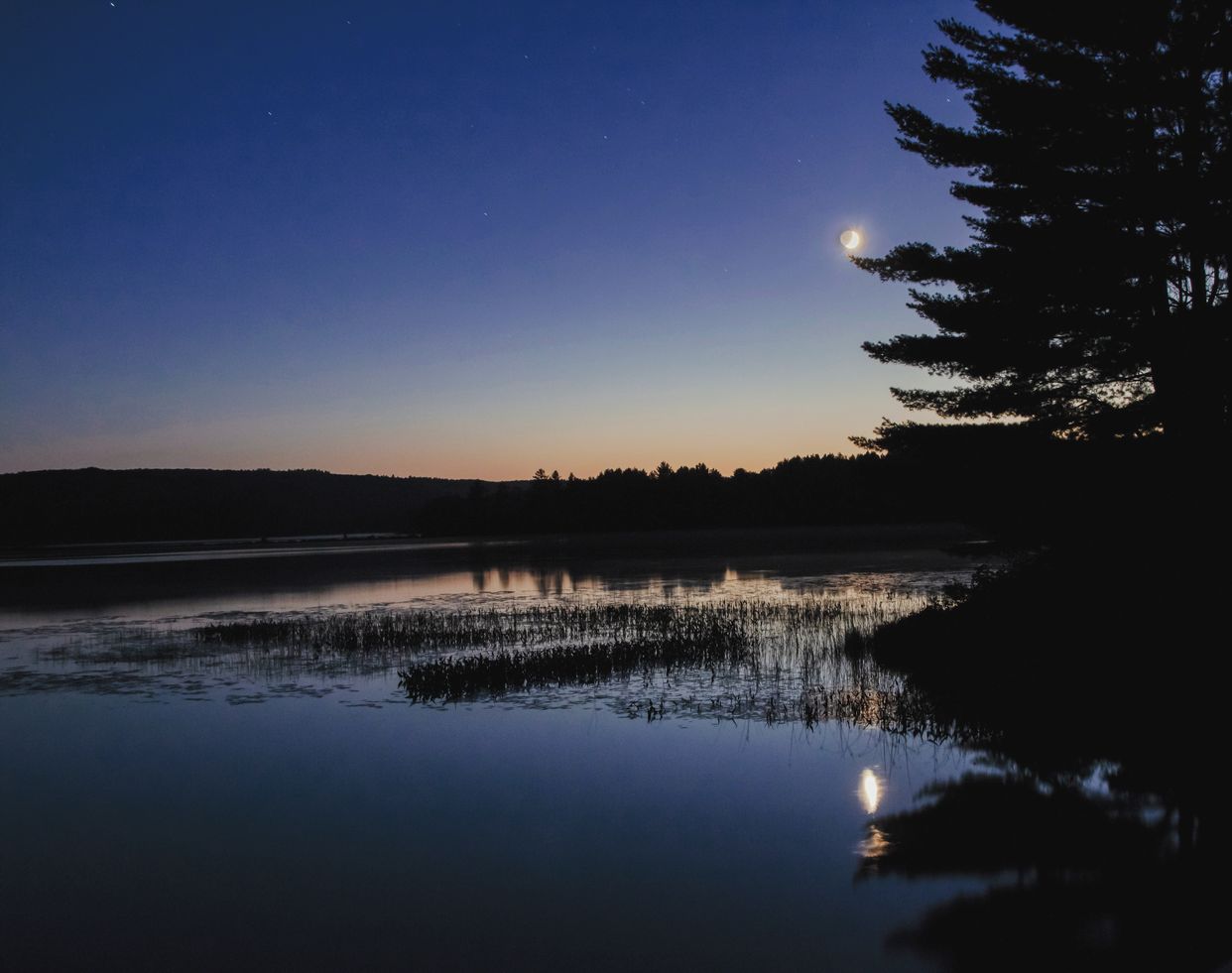 Paugh Lake Rd View