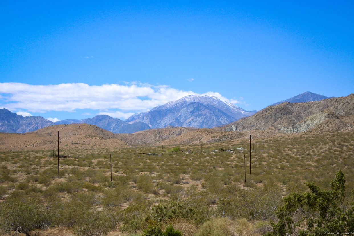 N Indian Canyon Dr View