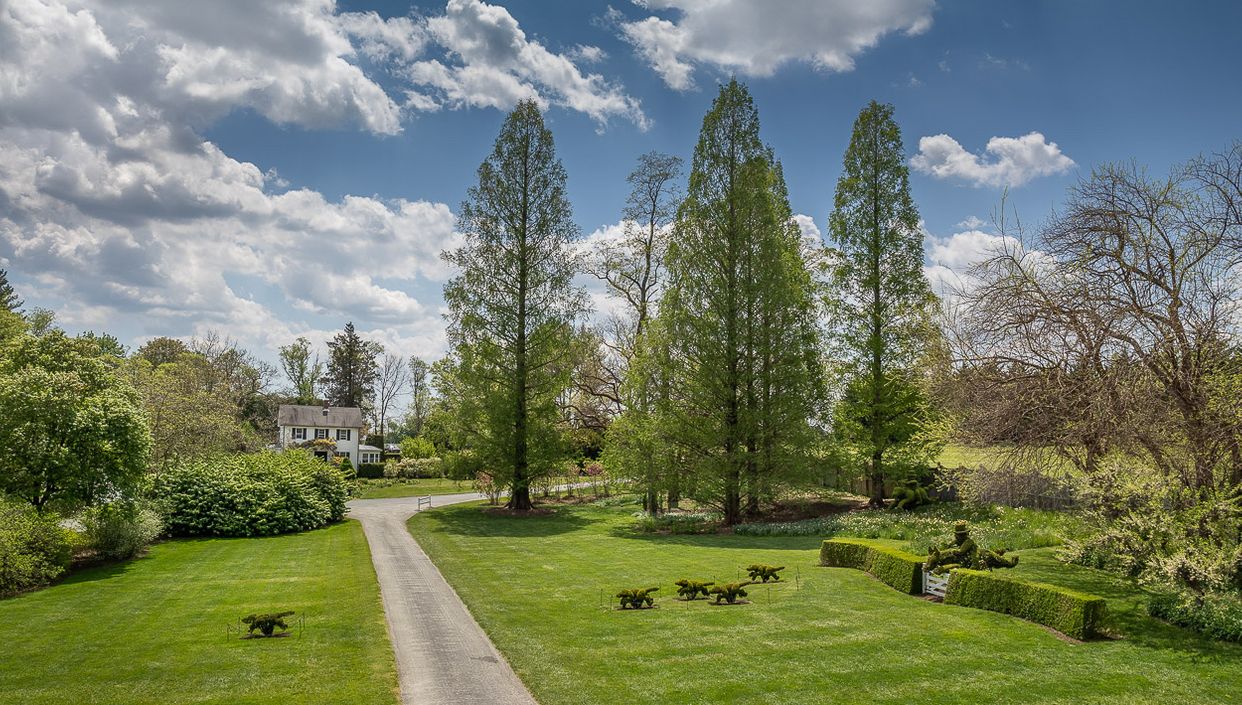 Ladew Animal Topiaries